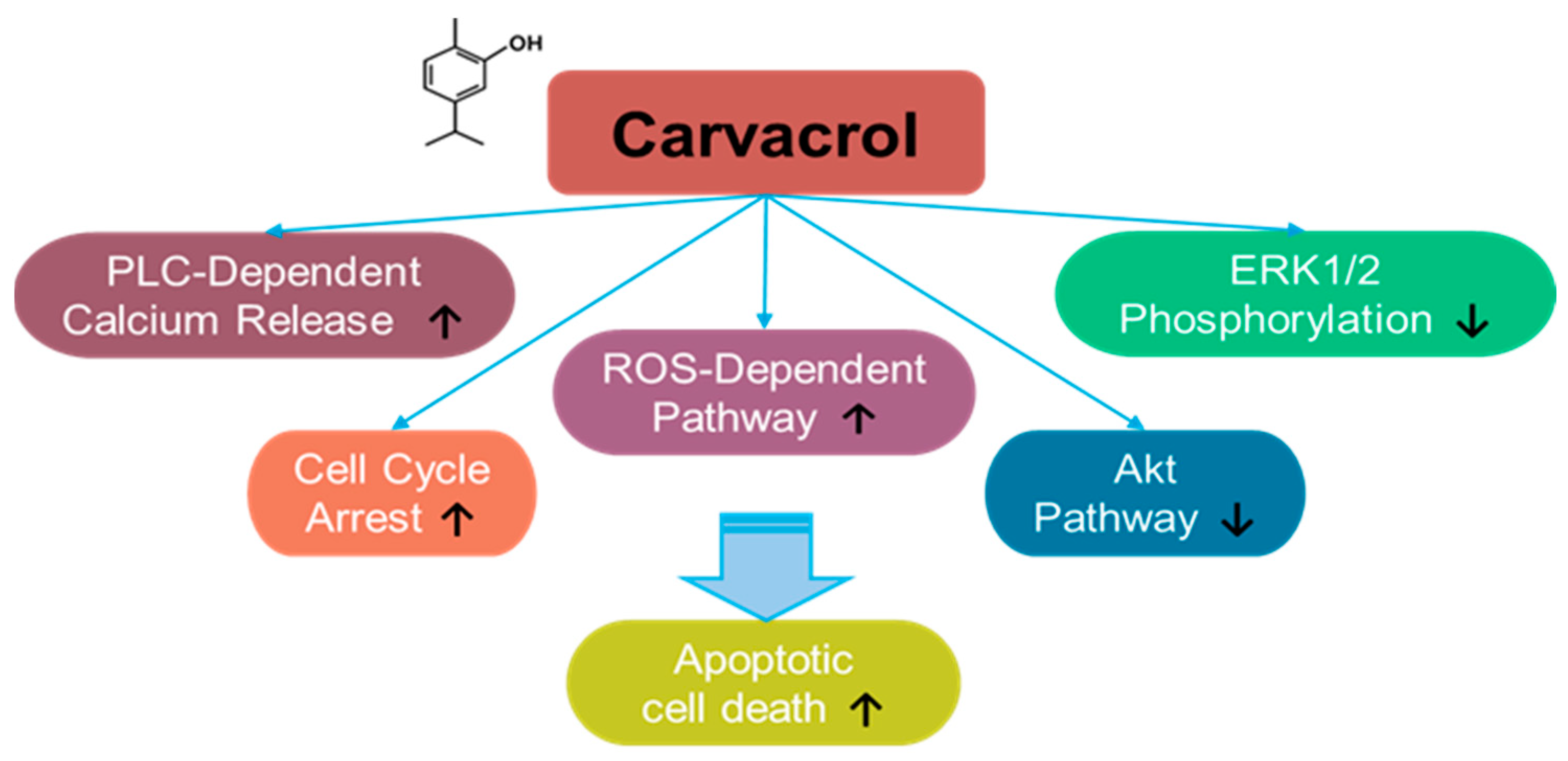 Antioxidants 14 00049 g006 Antioxidants 14 00049 g006