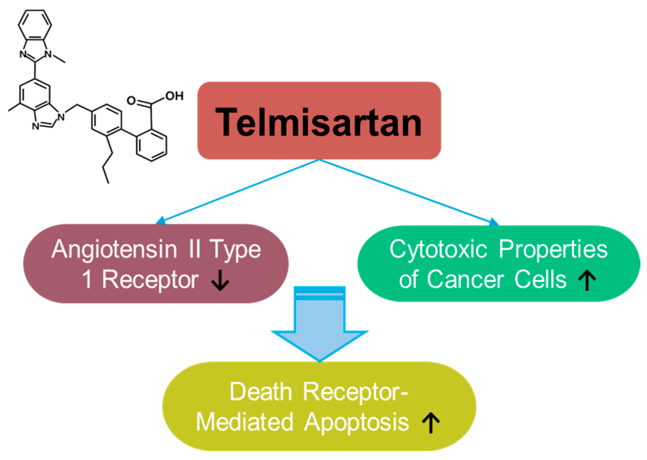 Antioxidants 14 00049 g007 Antioxidants 14 00049 g007