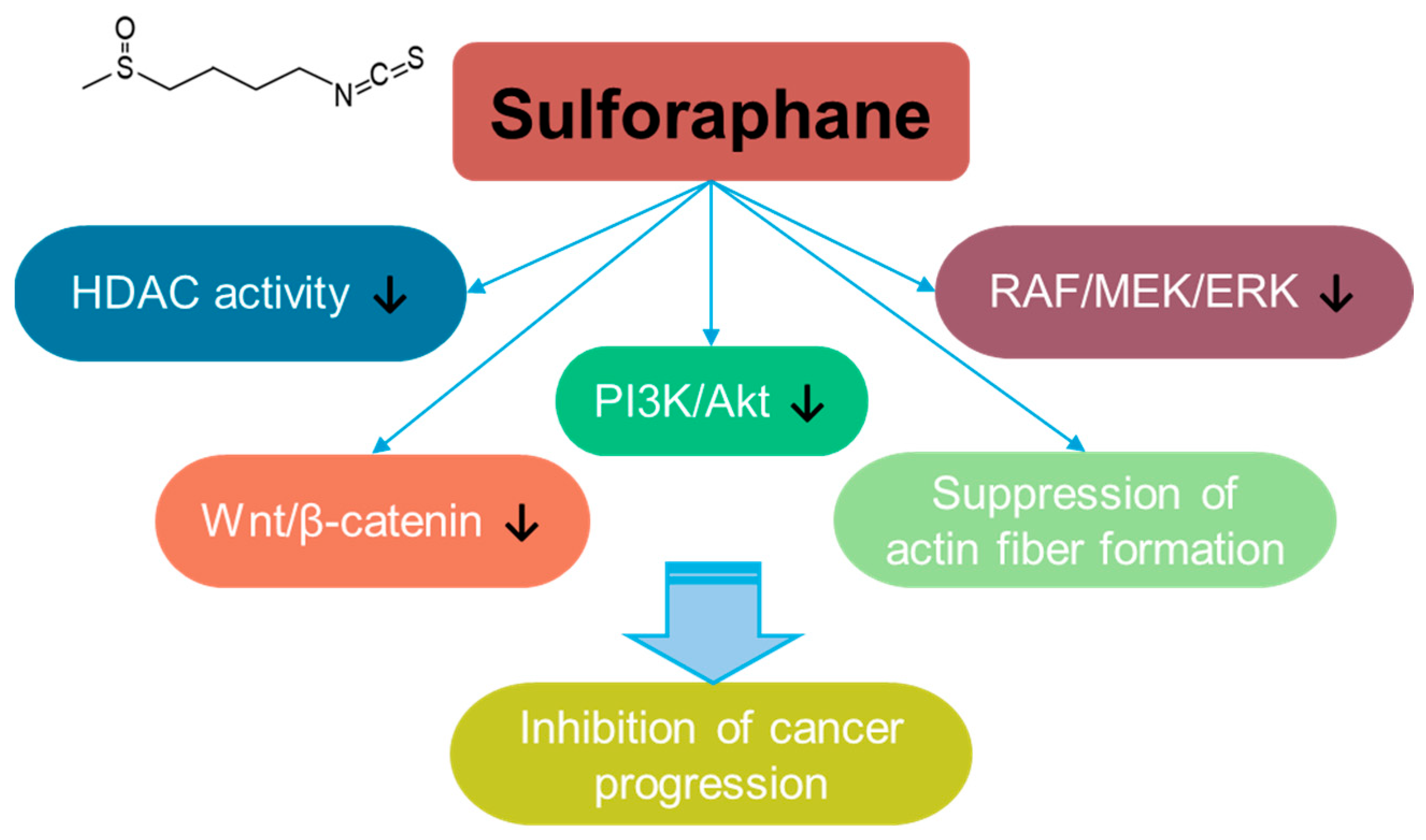 Antioxidants 14 00049 g008 Antioxidants 14 00049 g008