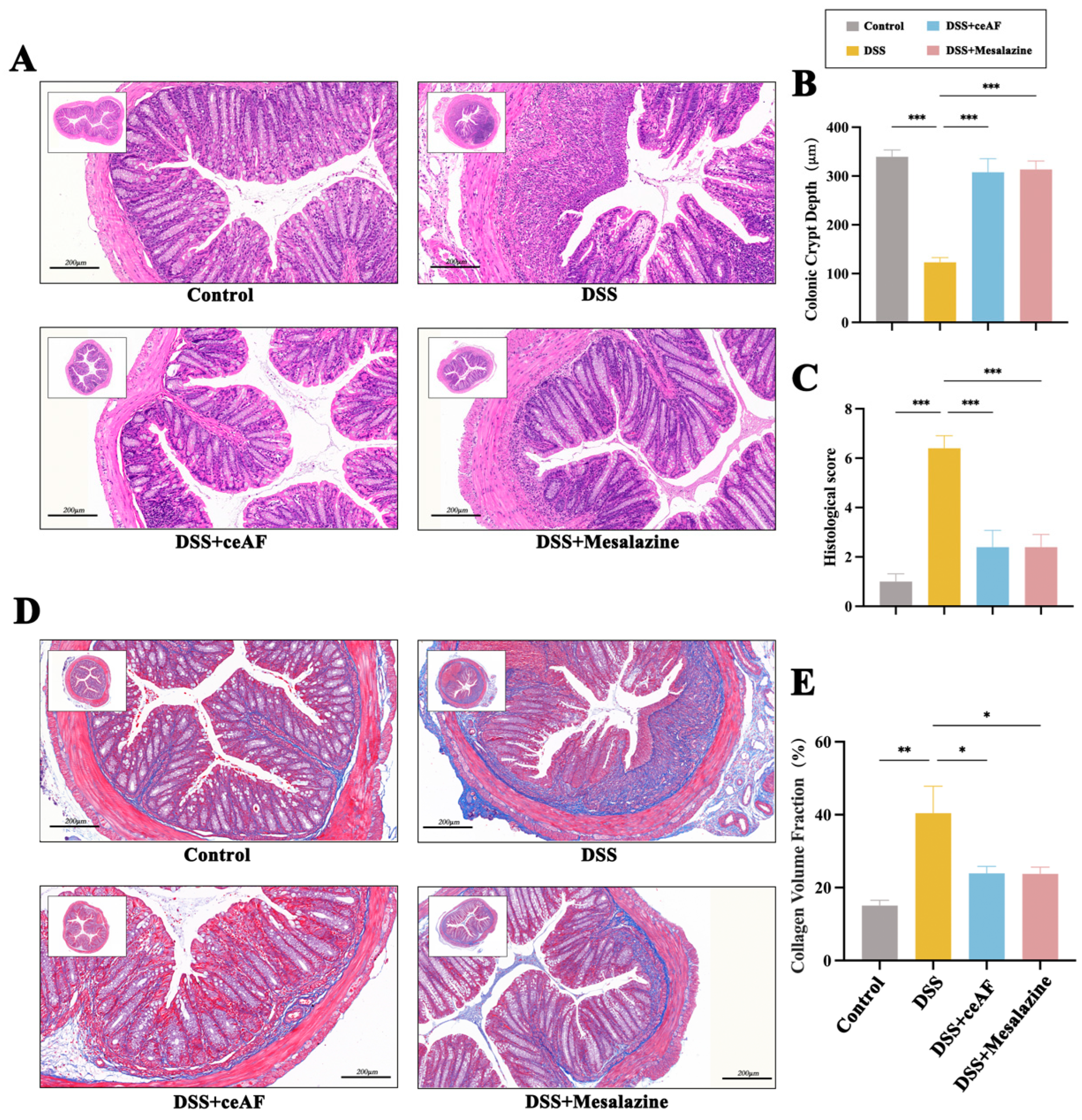 Antioxidants 14 00051 g004