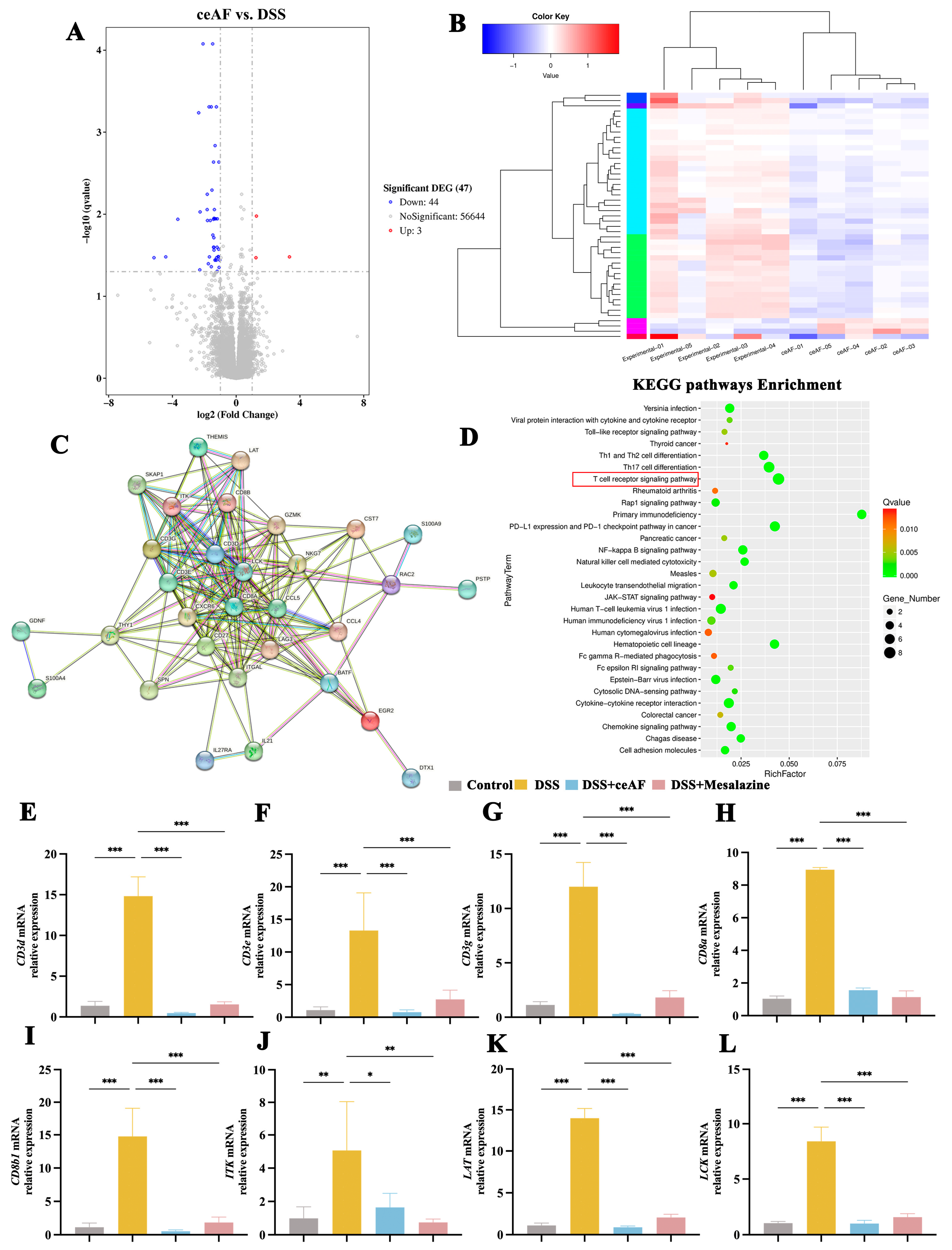 Antioxidants 14 00051 g006