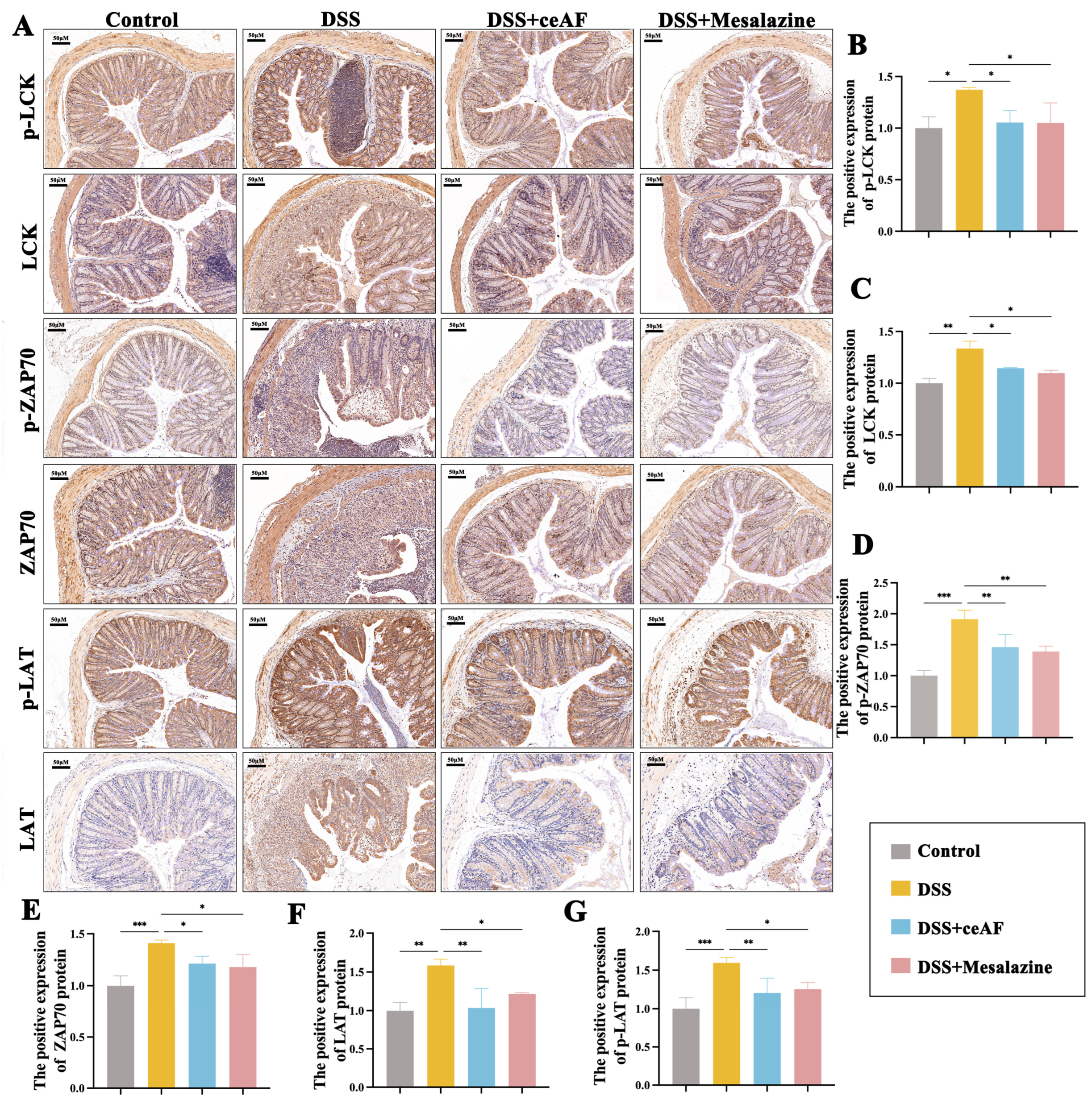 Antioxidants 14 00051 g008
