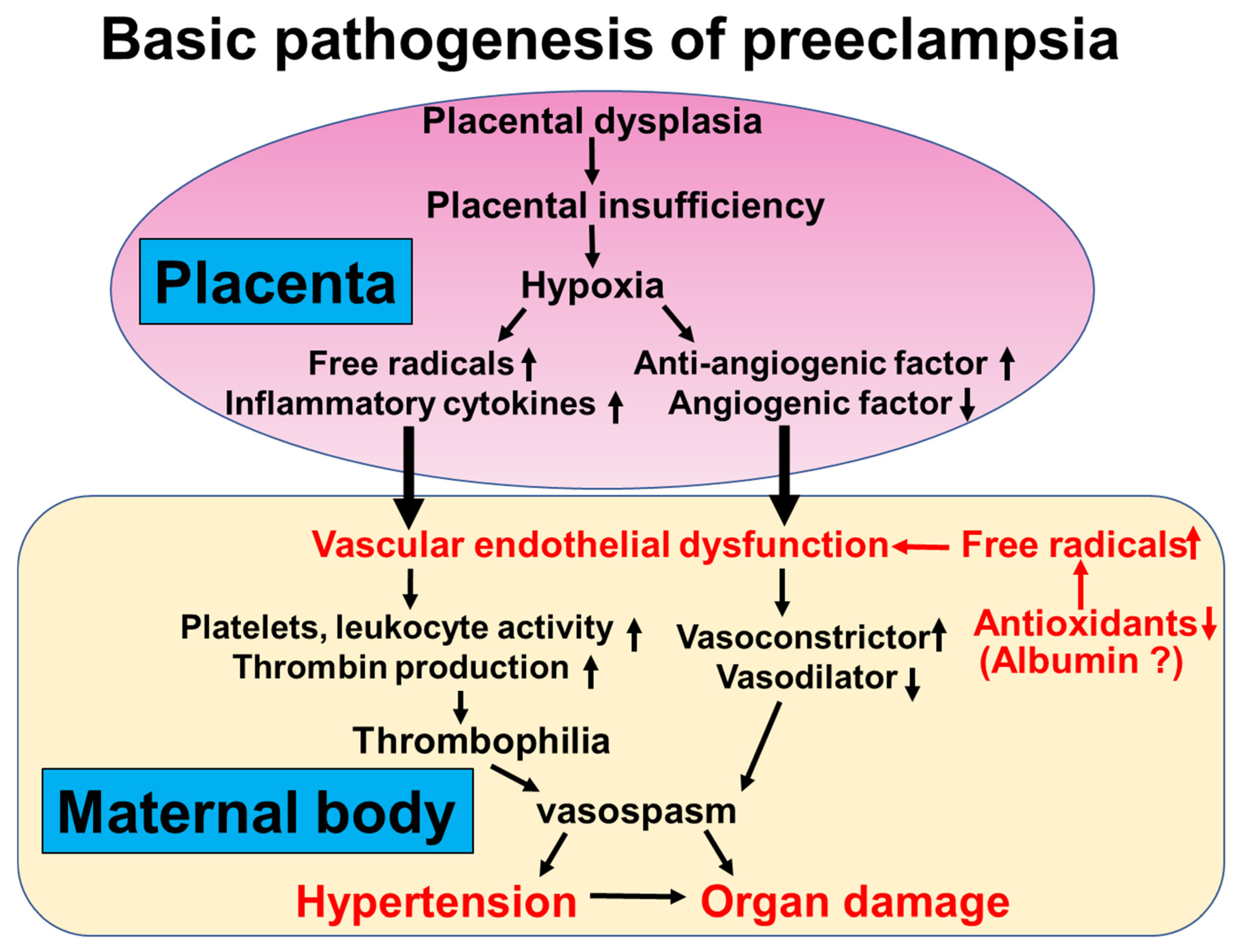 Antioxidants 14 00055 g001