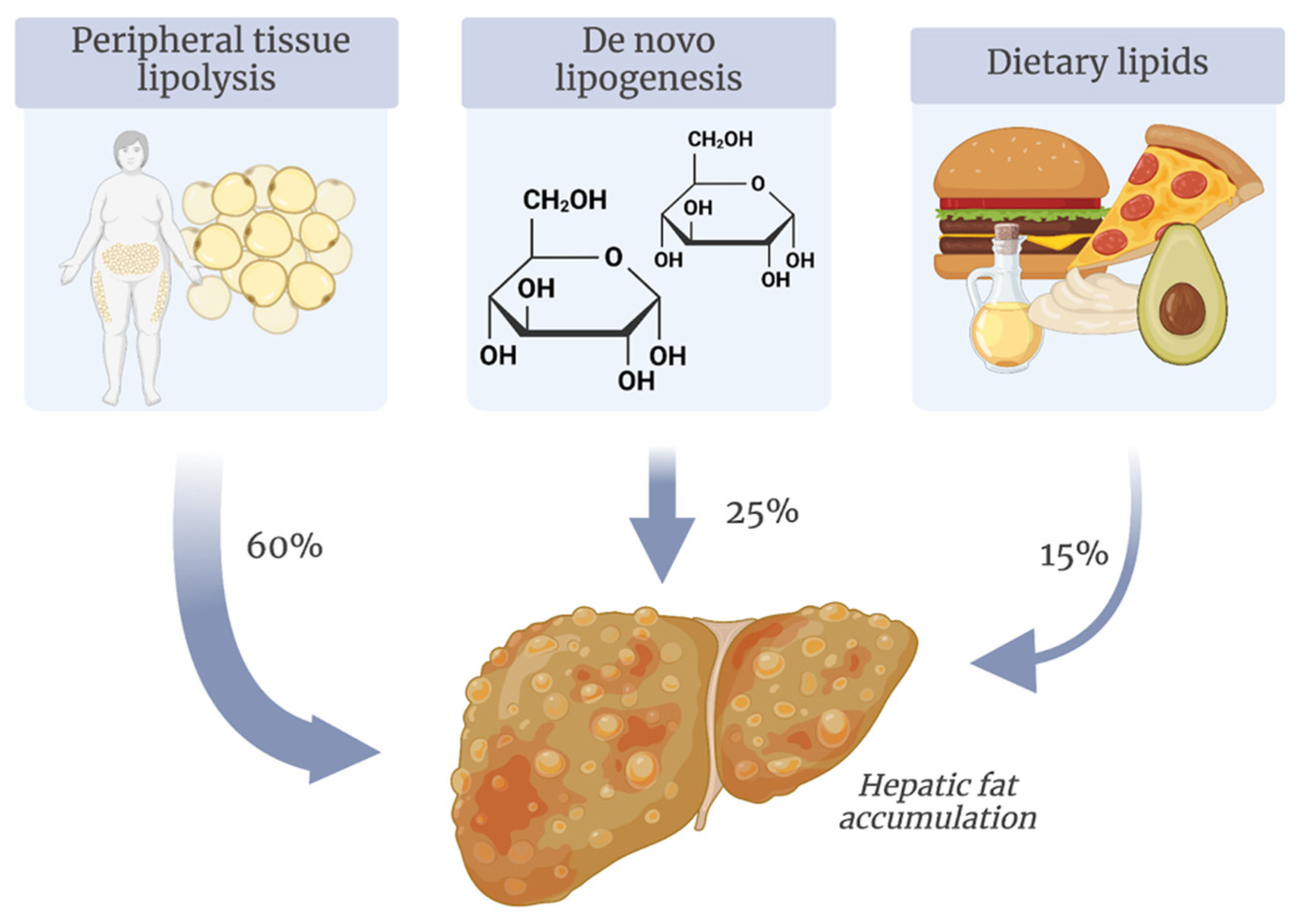 Gut Microbiota at the Crossroad of Hepatic Oxidative Stress Gut Microbiota at the Crossroad of Hepatic Oxidative Stress