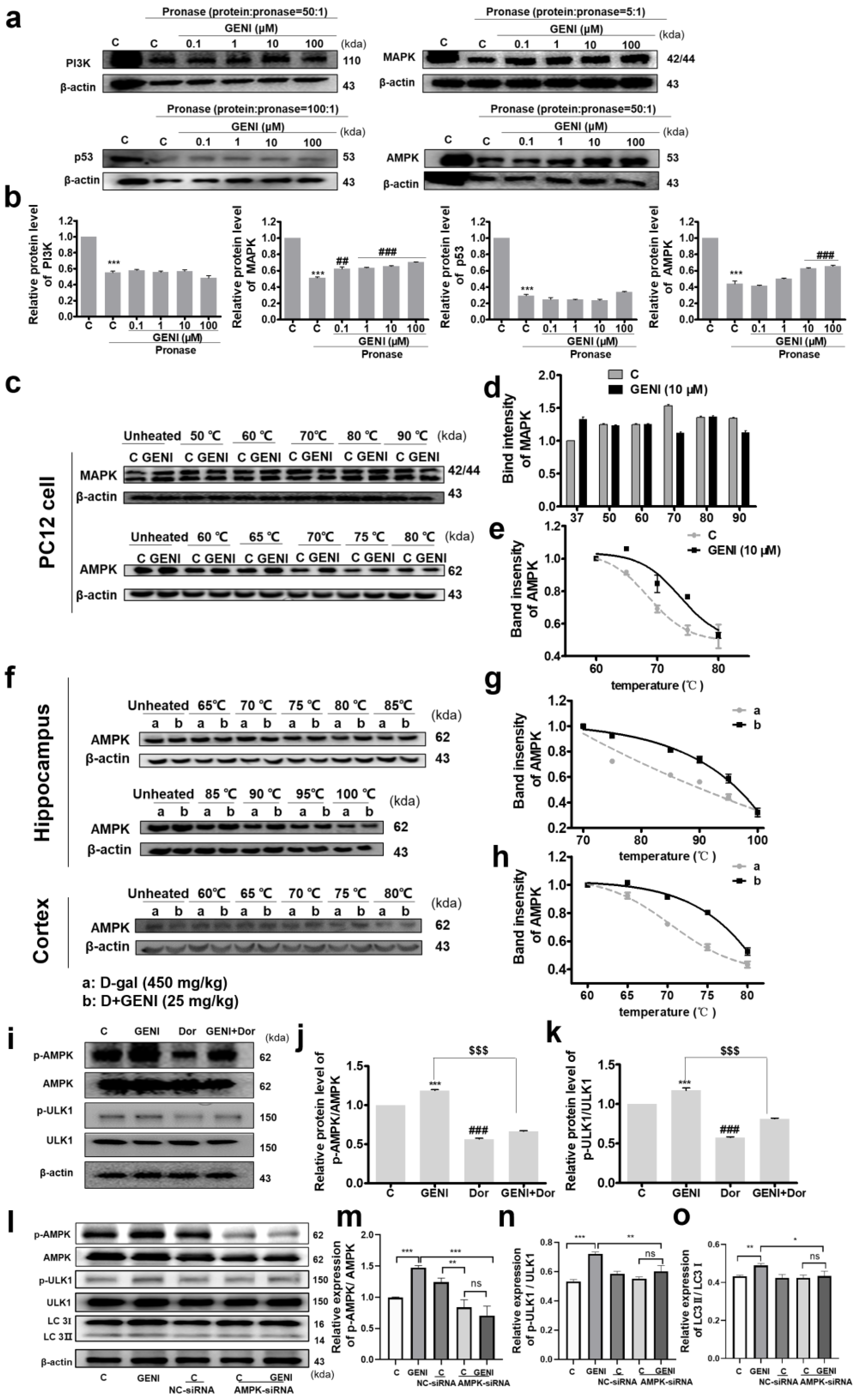 Antioxidants 14 00057 g004
