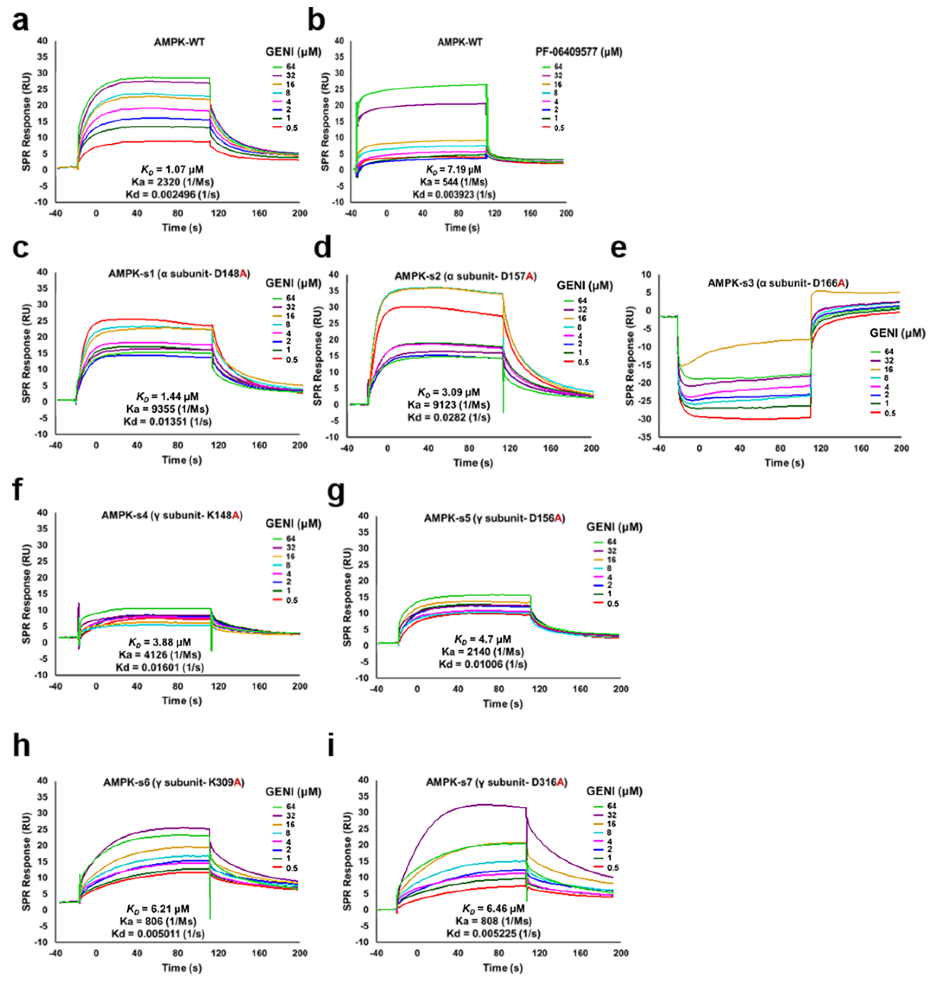 Antioxidants 14 00057 g005