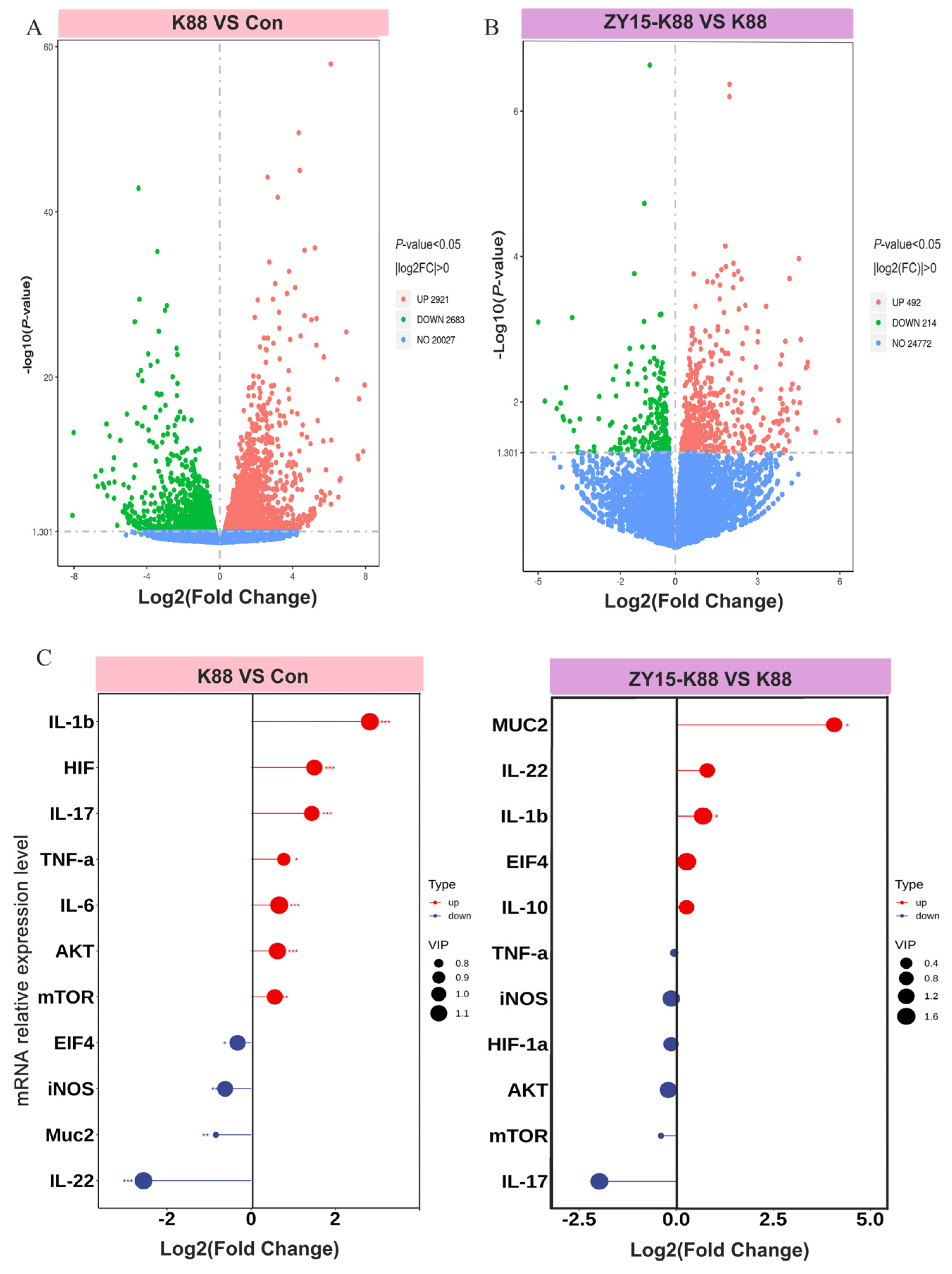 Antioxidants 14 00058 g003