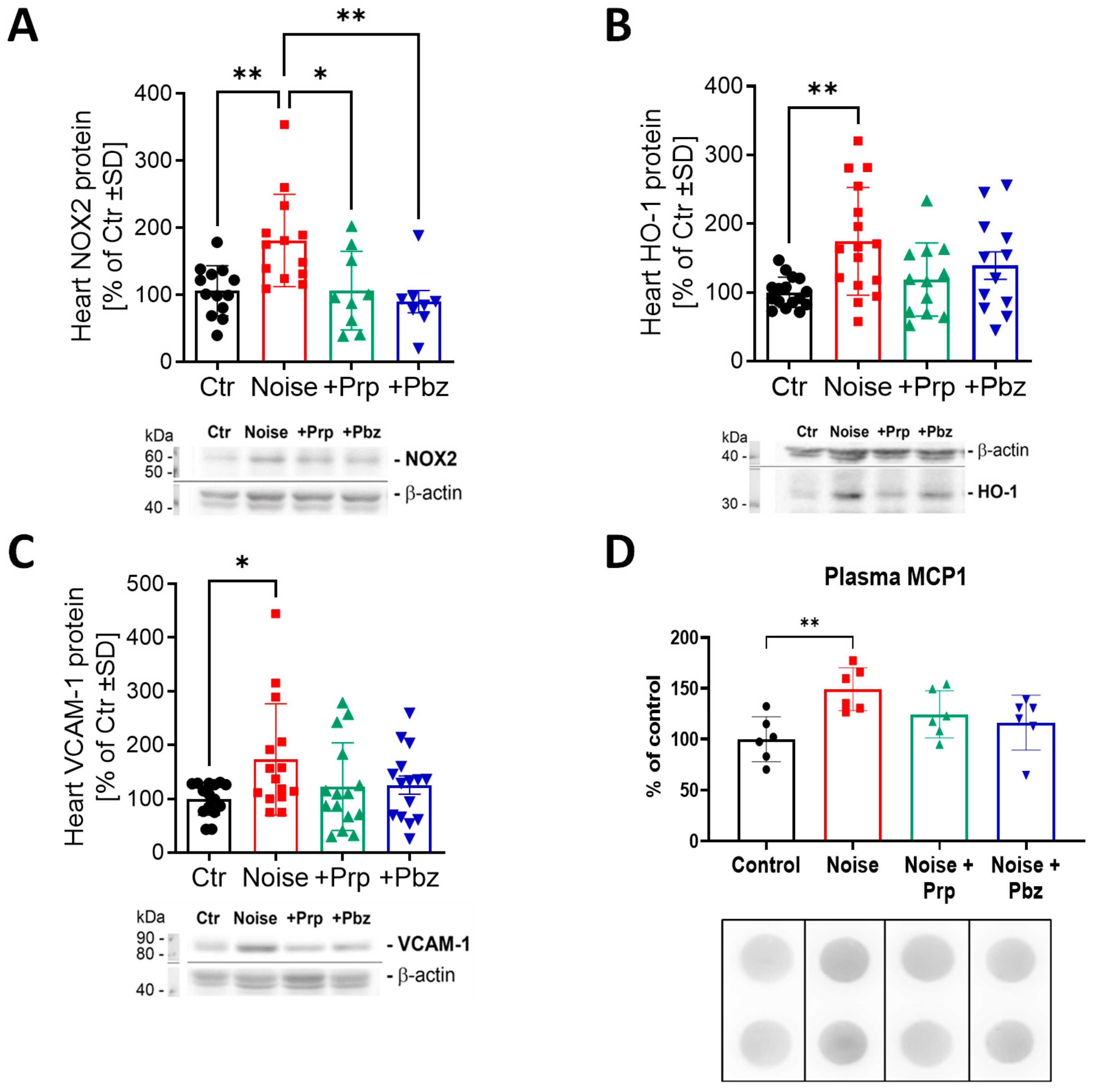 Antioxidants 14 00059 g005