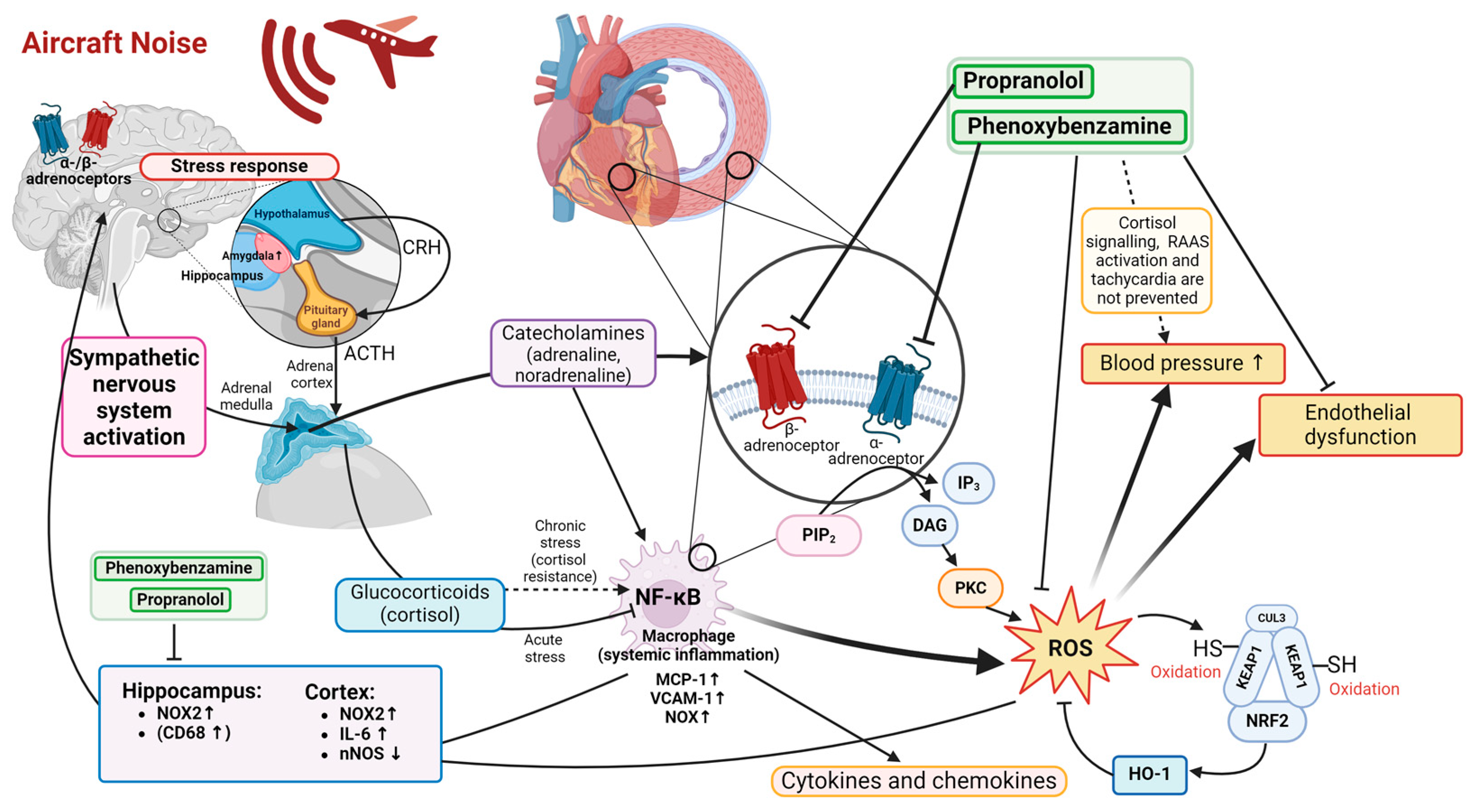 Antioxidants 14 00059 g007