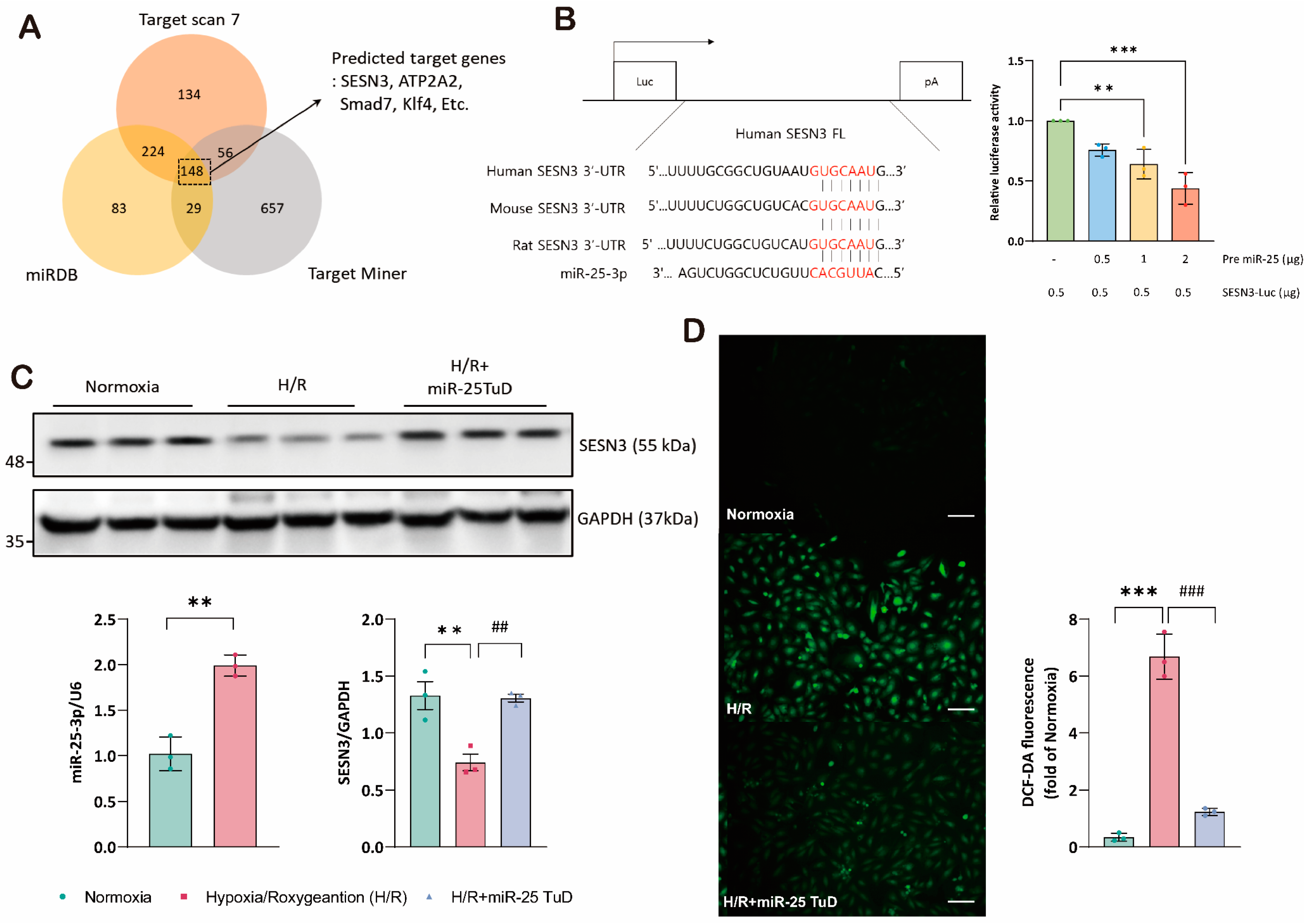 Antioxidants 14 00061 g001