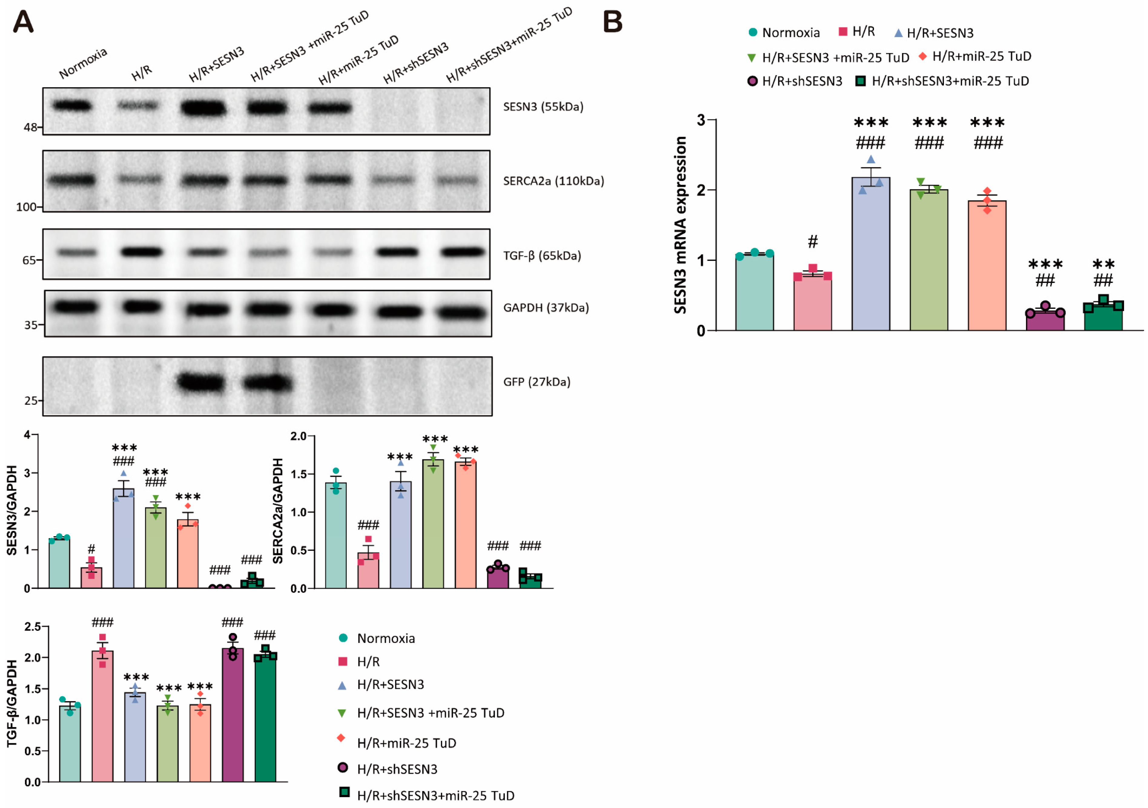 Antioxidants 14 00061 g006