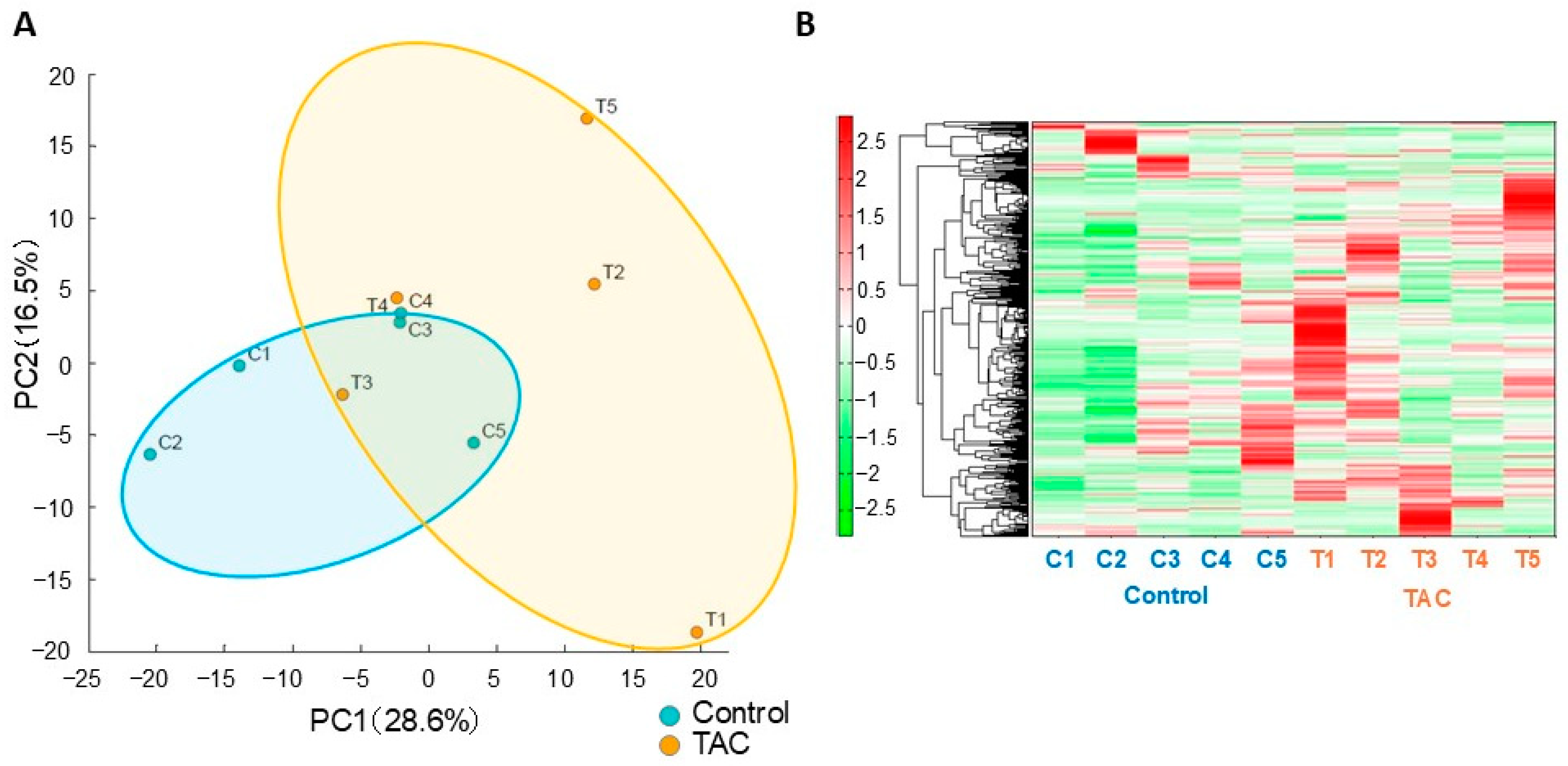 Antioxidants 14 00062 g001
