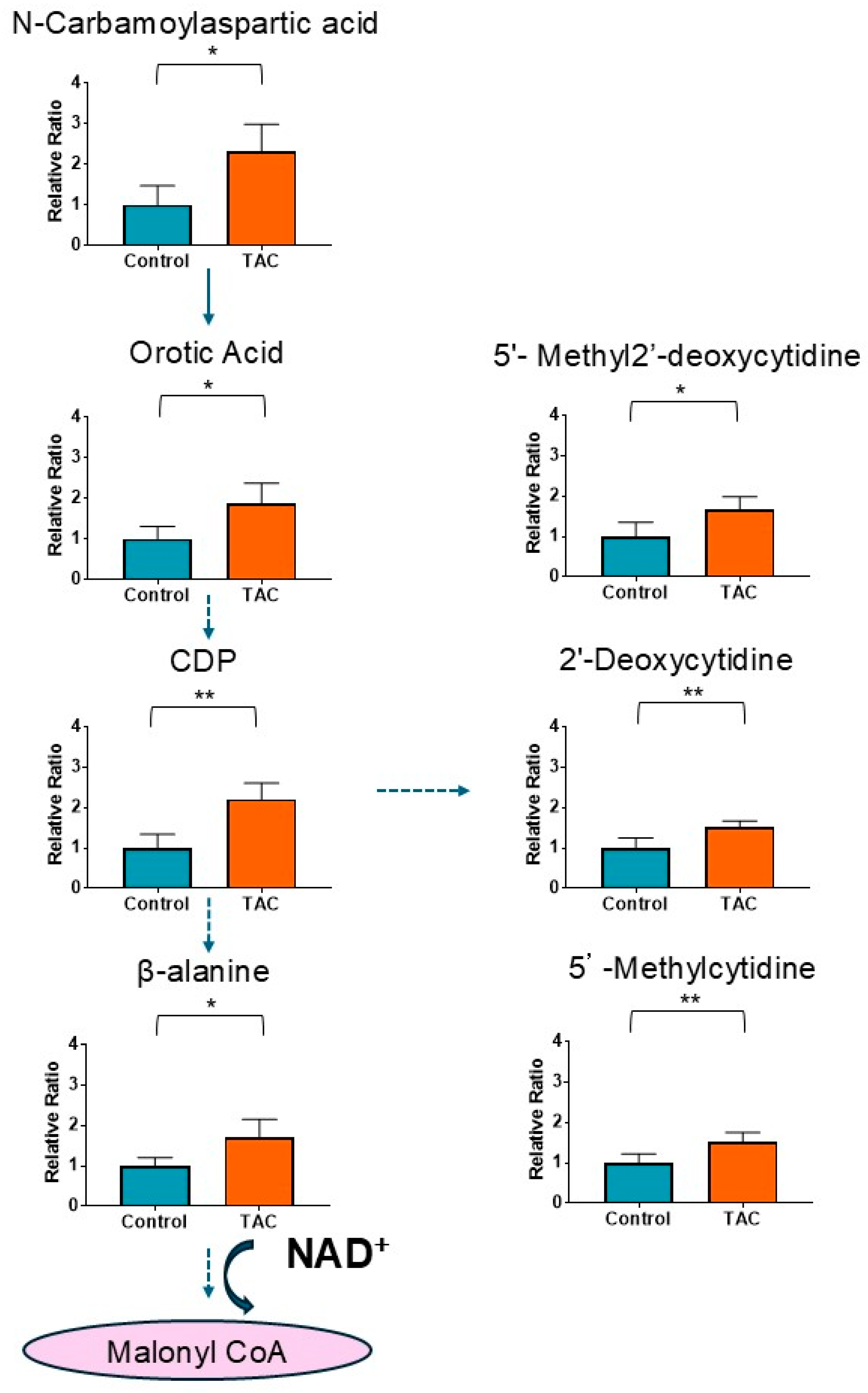 Antioxidants 14 00062 g006