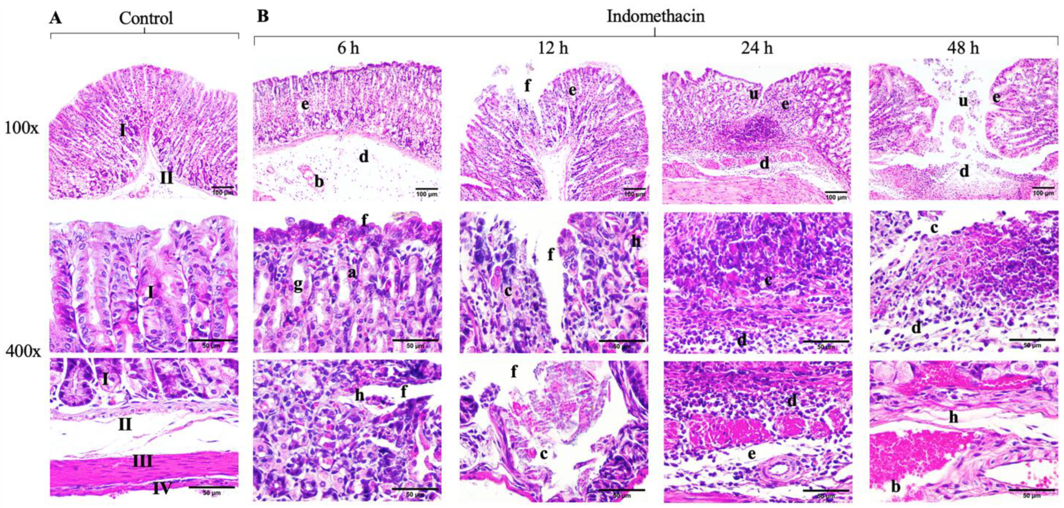 Antioxidants 14 00065 g005