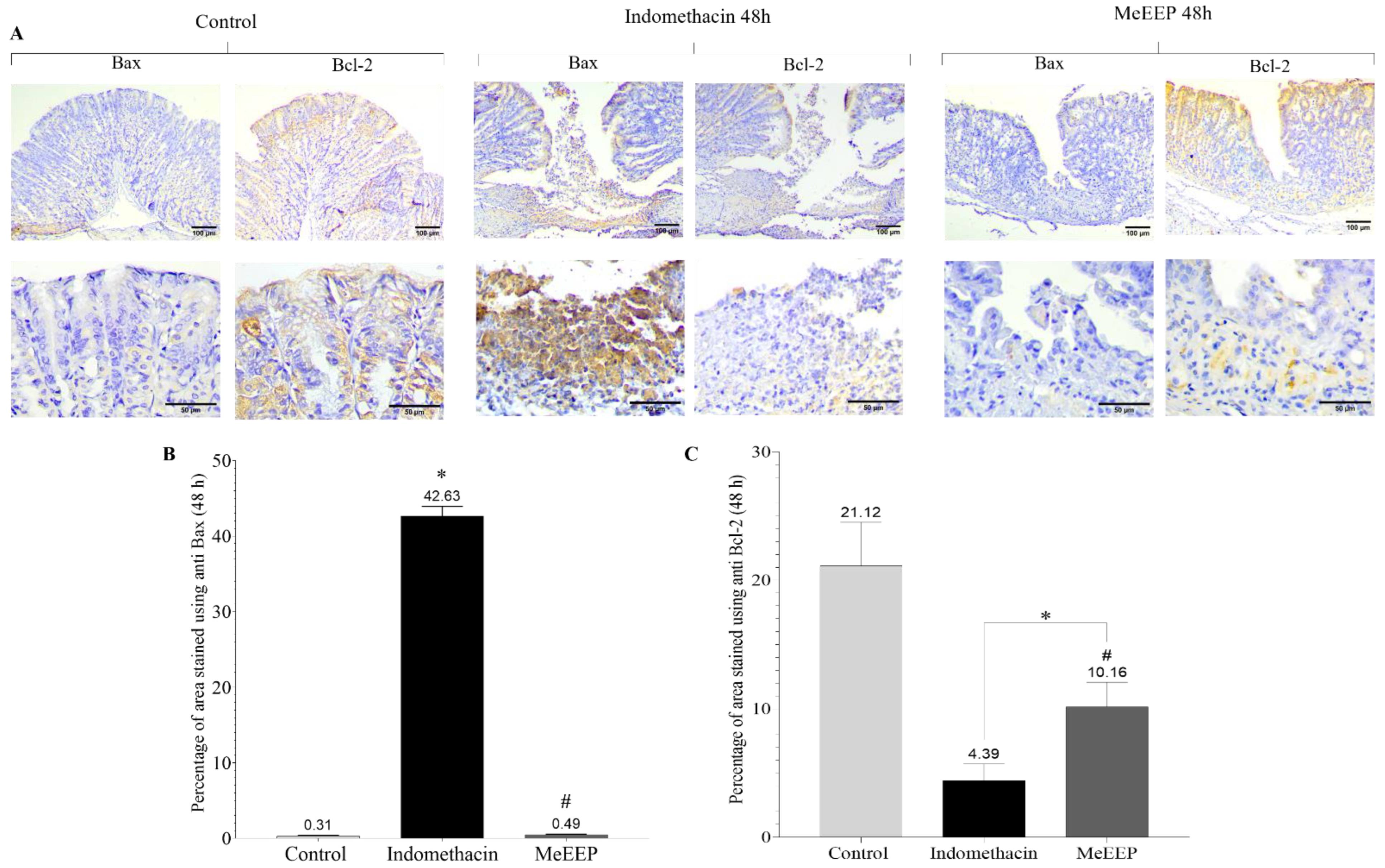 Antioxidants 14 00065 g011
