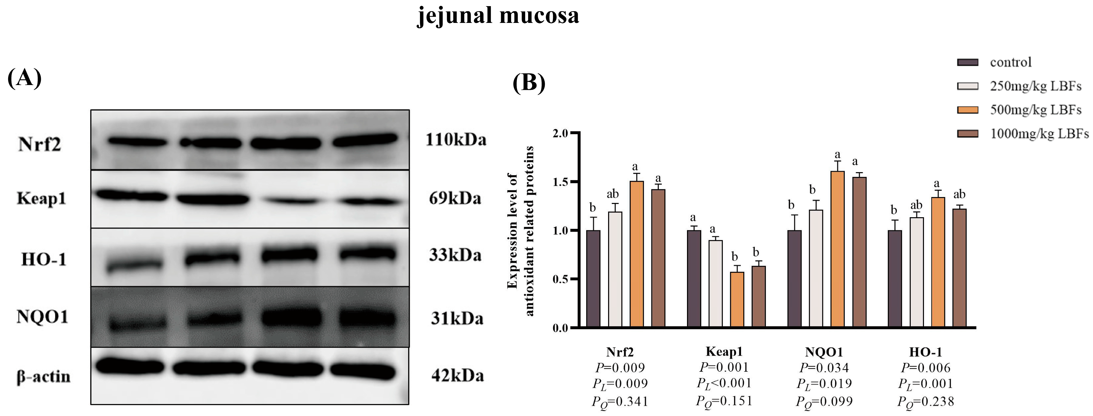 Antioxidants 14 00067 g004