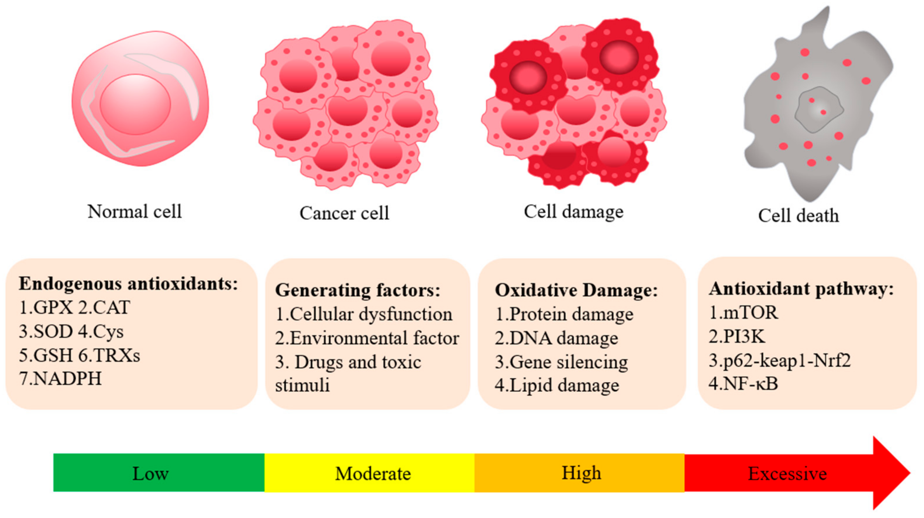 Antioxidants 14 00070 g001