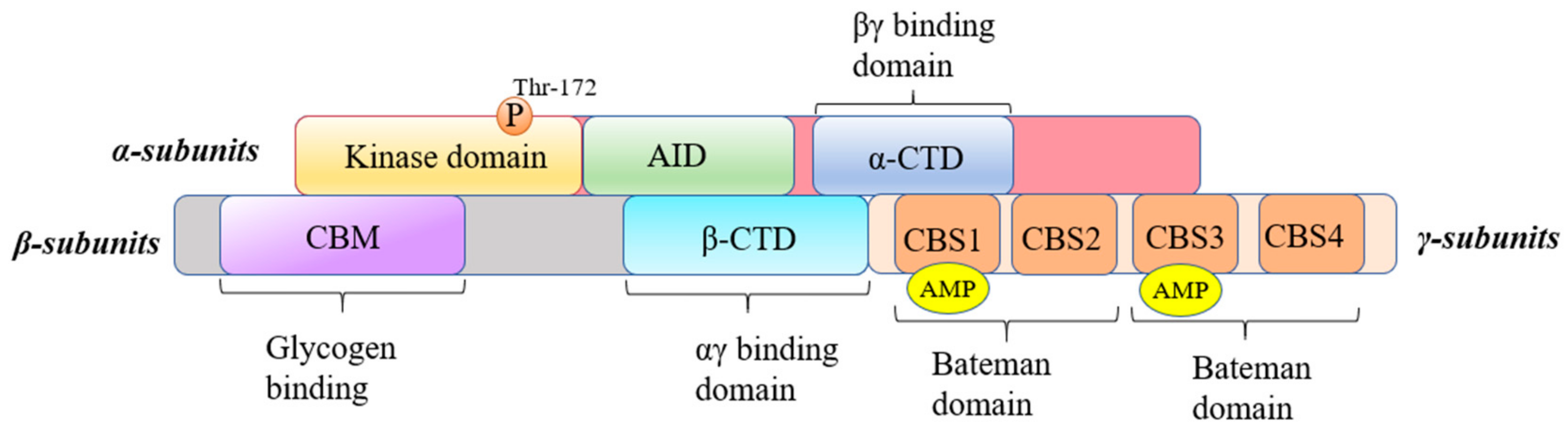 Antioxidants 14 00070 g003