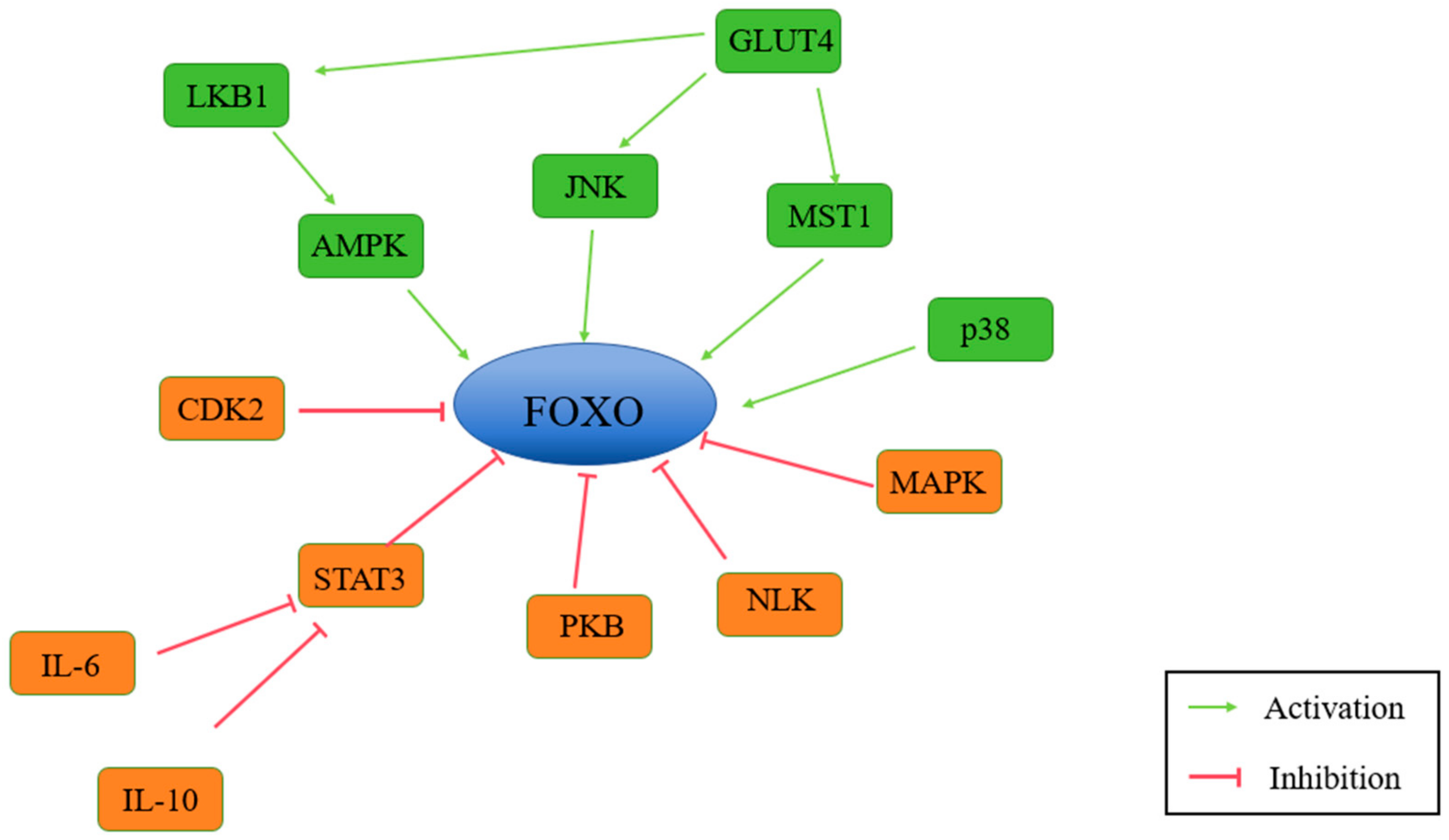 Antioxidants 14 00070 g009