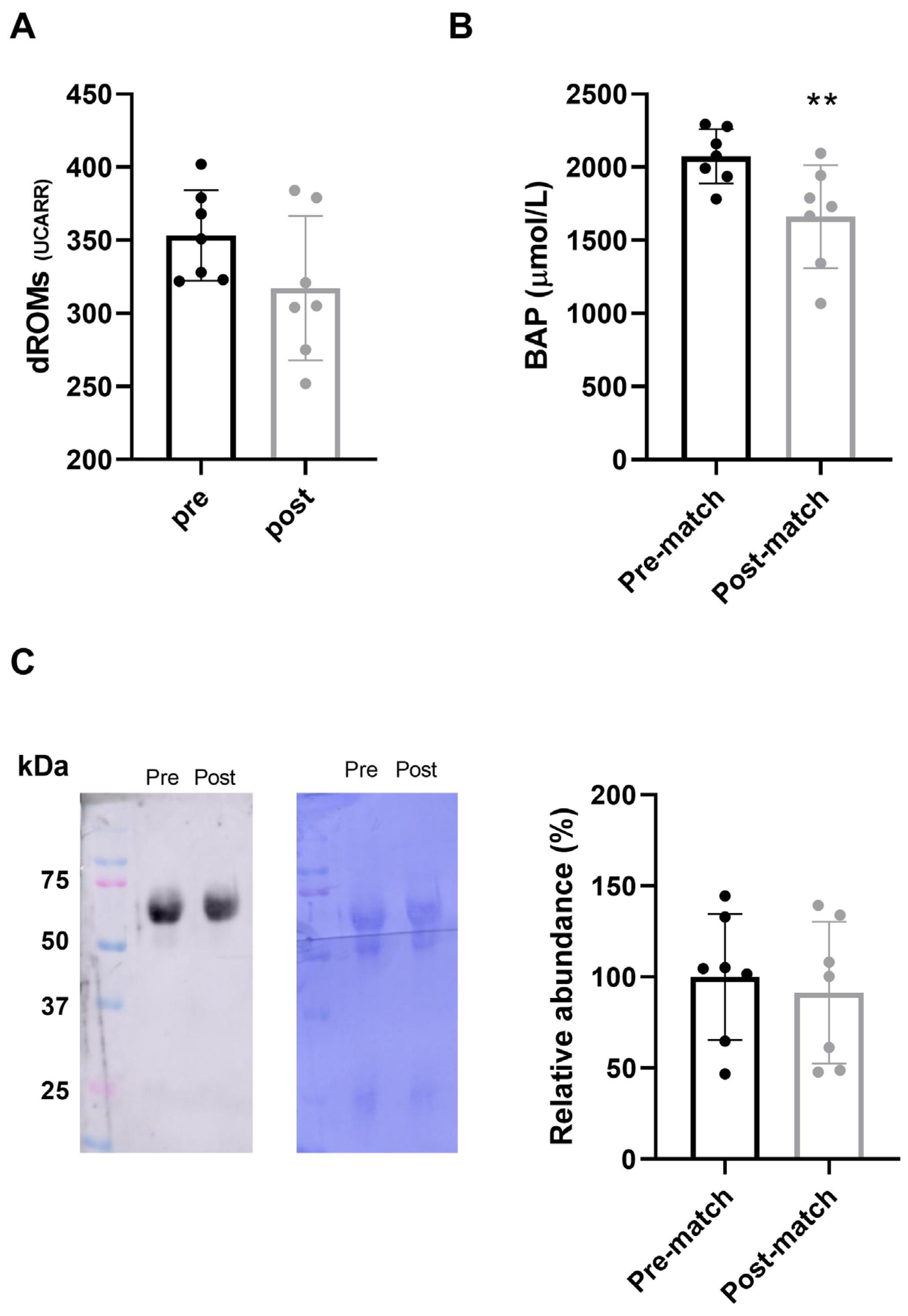 Antioxidants 14 00073 g001