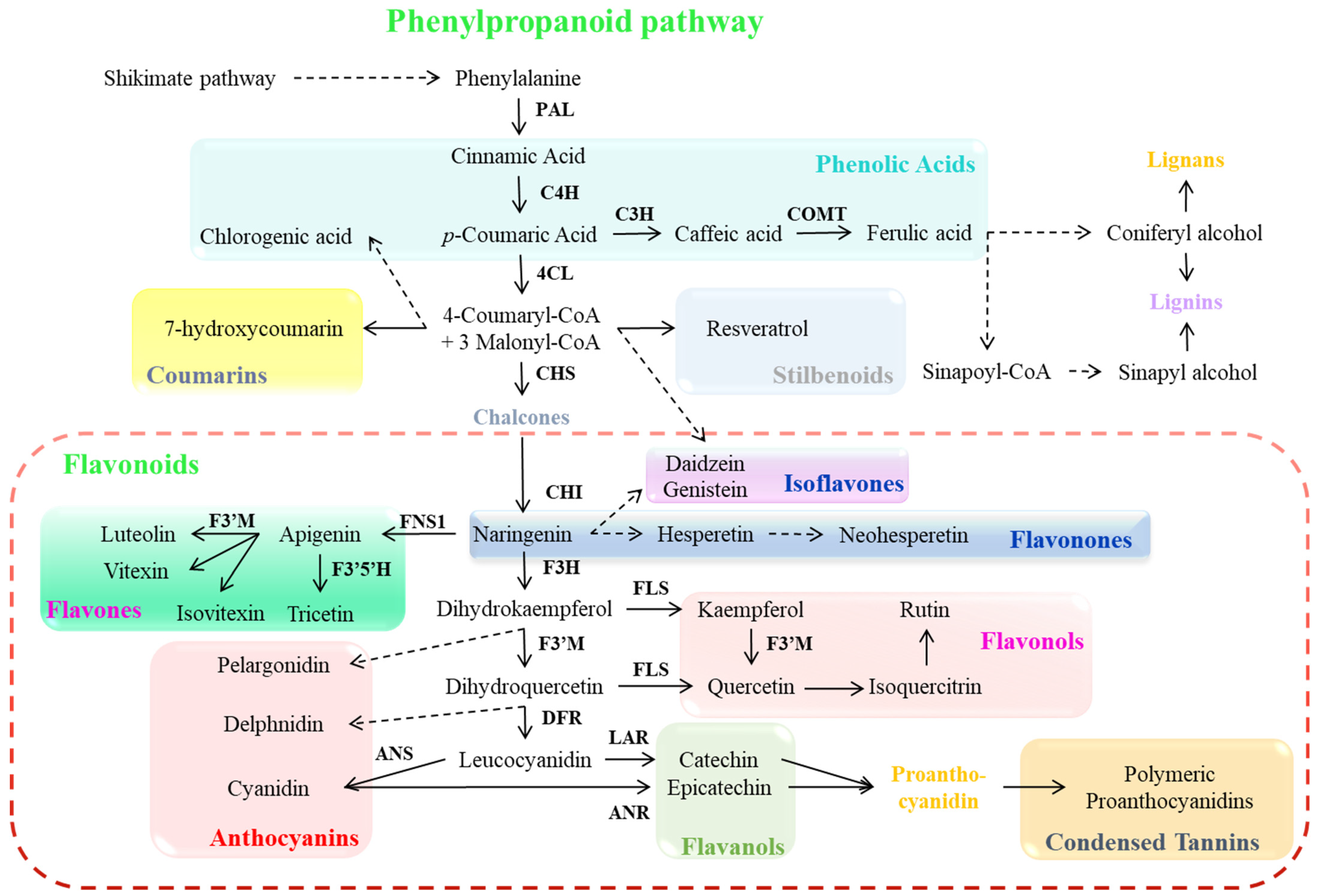 Antioxidants 14 00074 g002