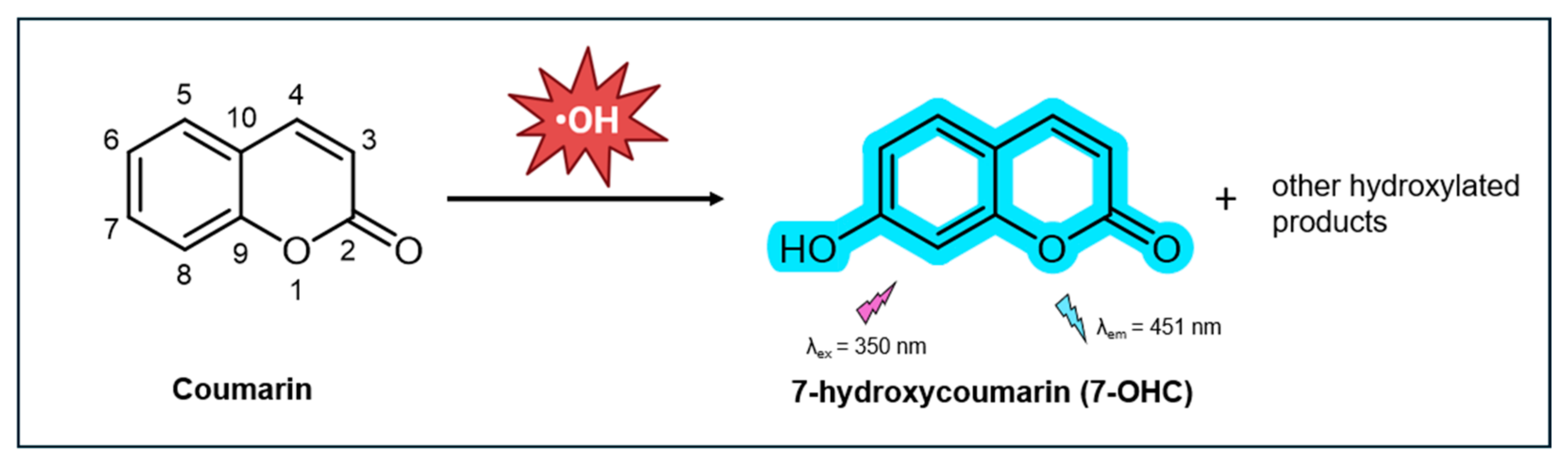 Antioxidants 14 00079 g002