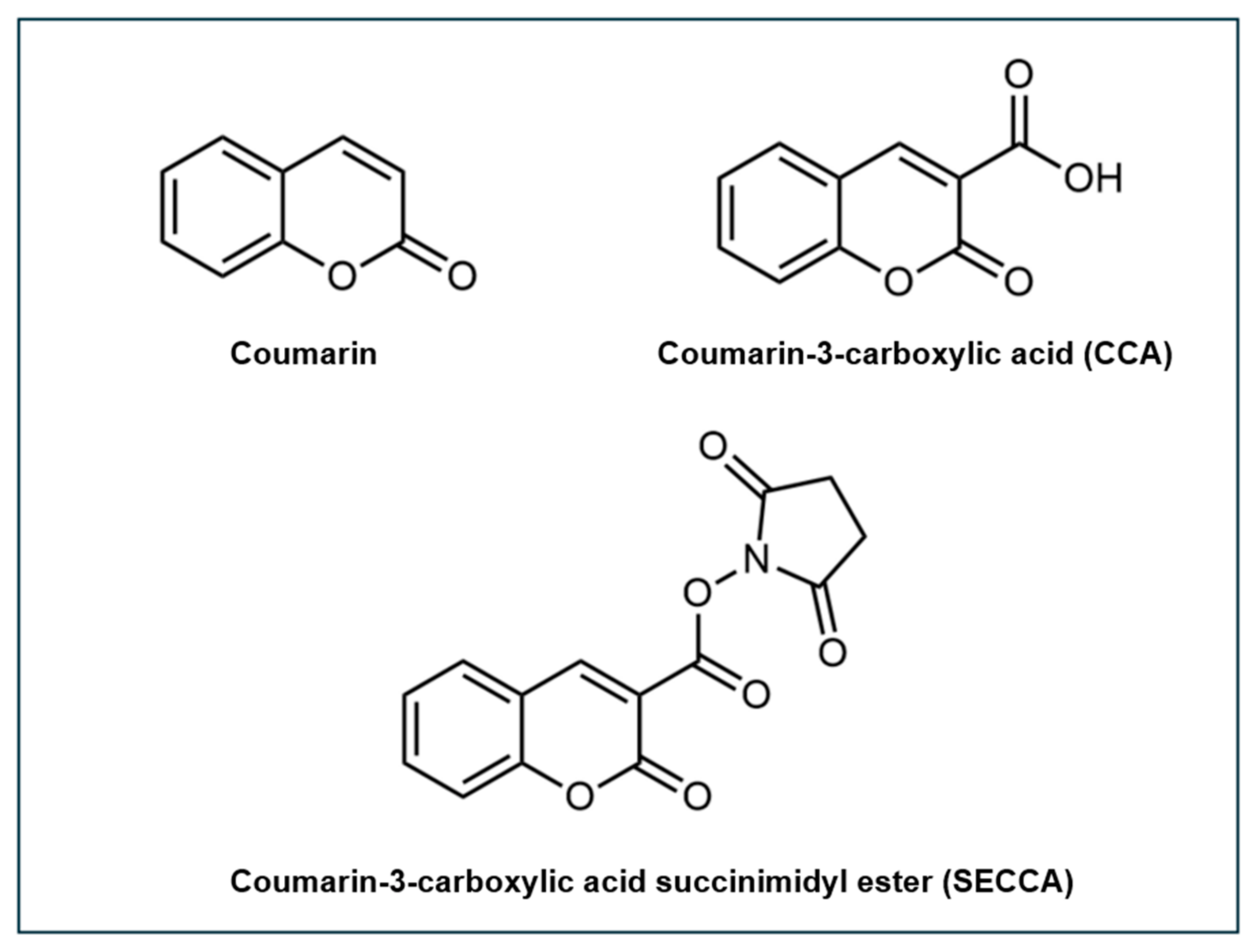 Antioxidants 14 00079 g003