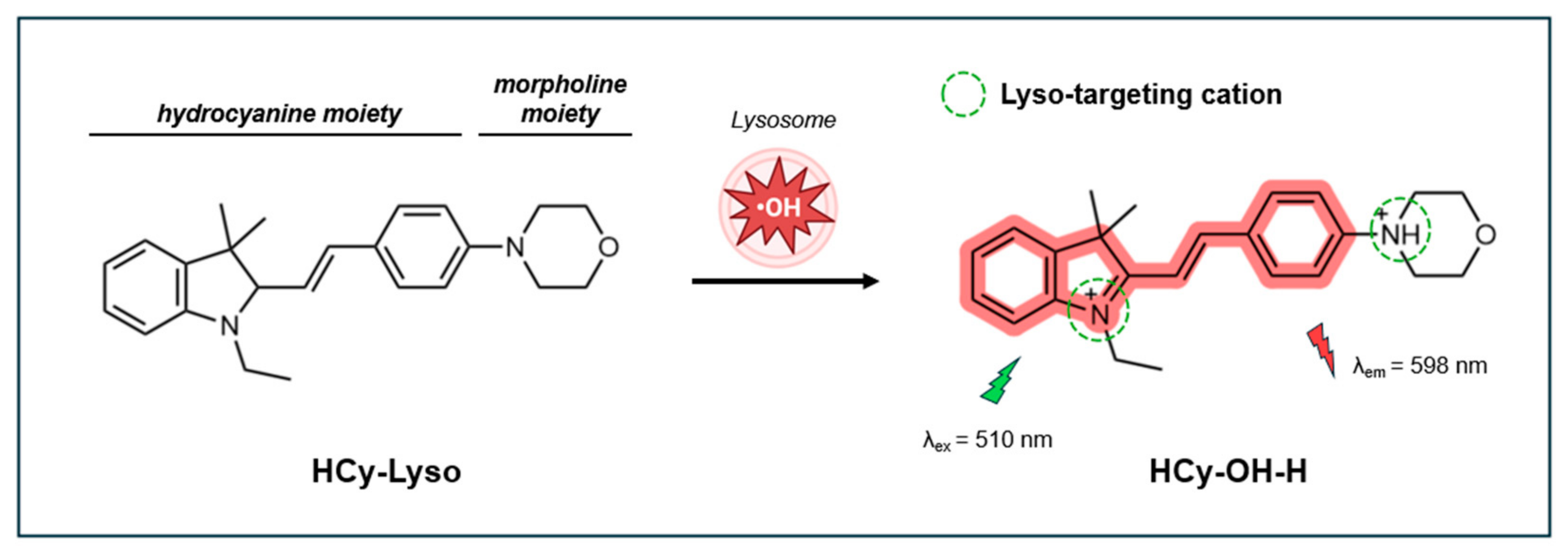 Antioxidants 14 00079 g010