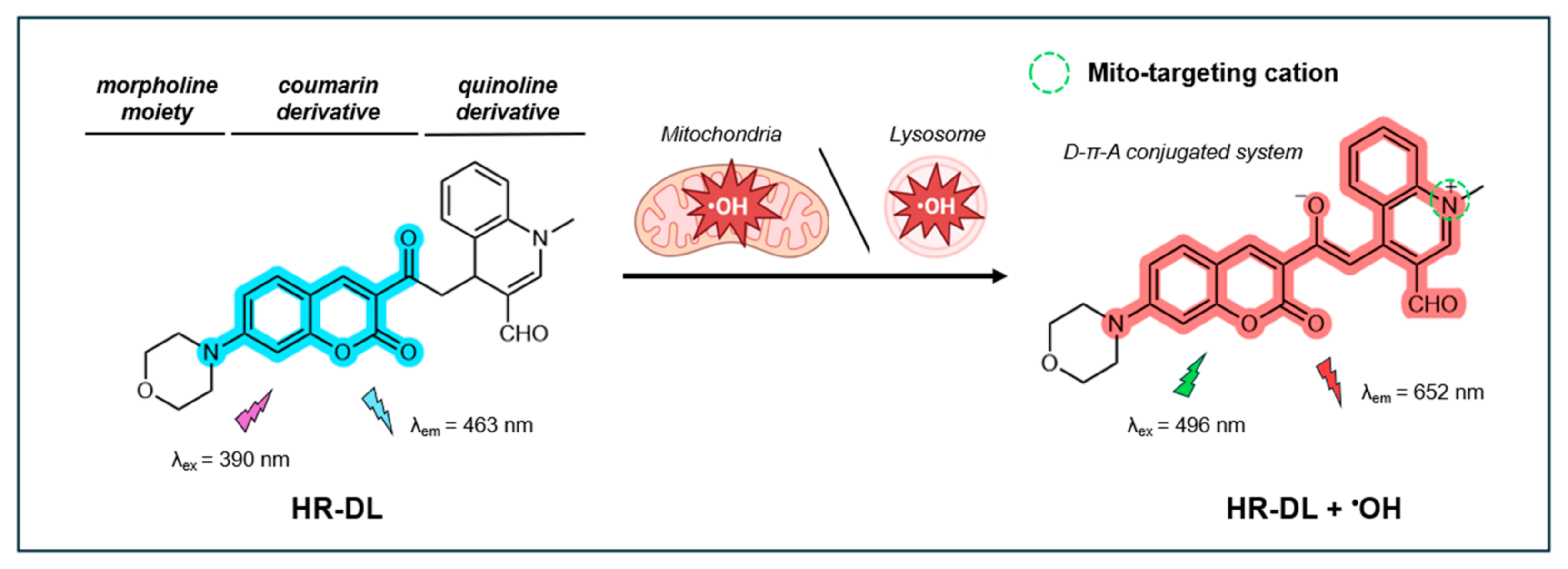 Antioxidants 14 00079 g011