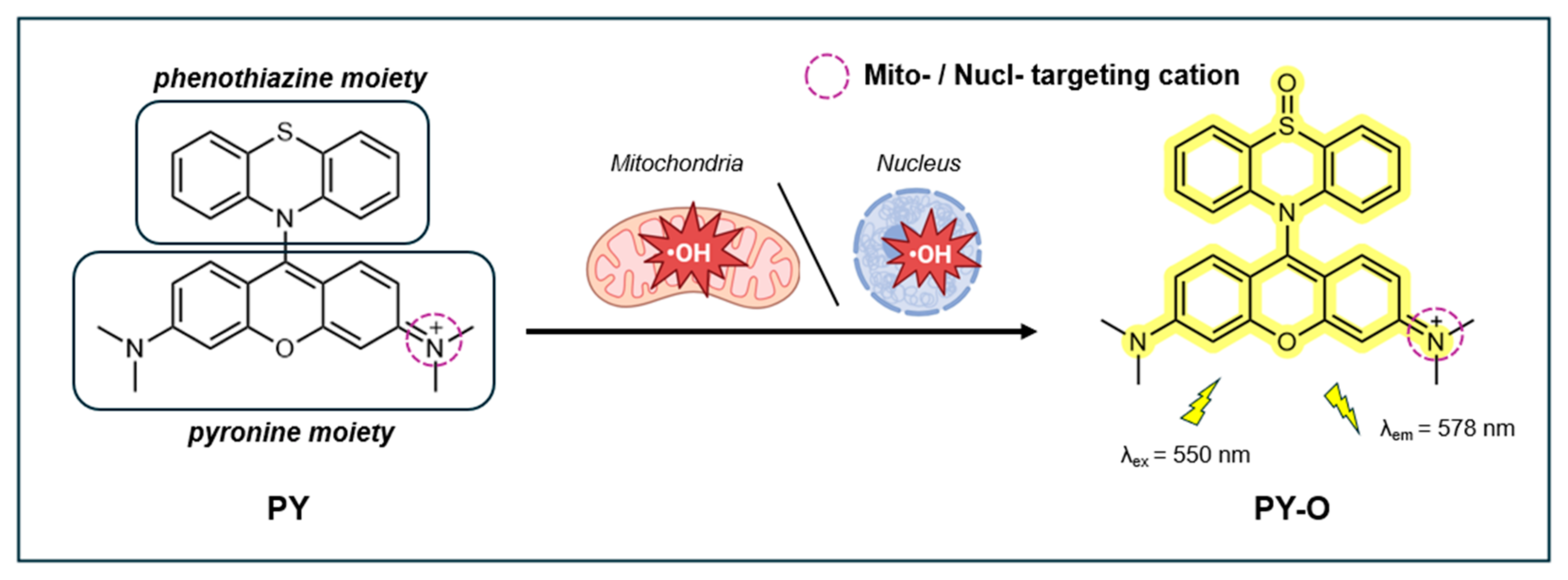 Antioxidants 14 00079 g012