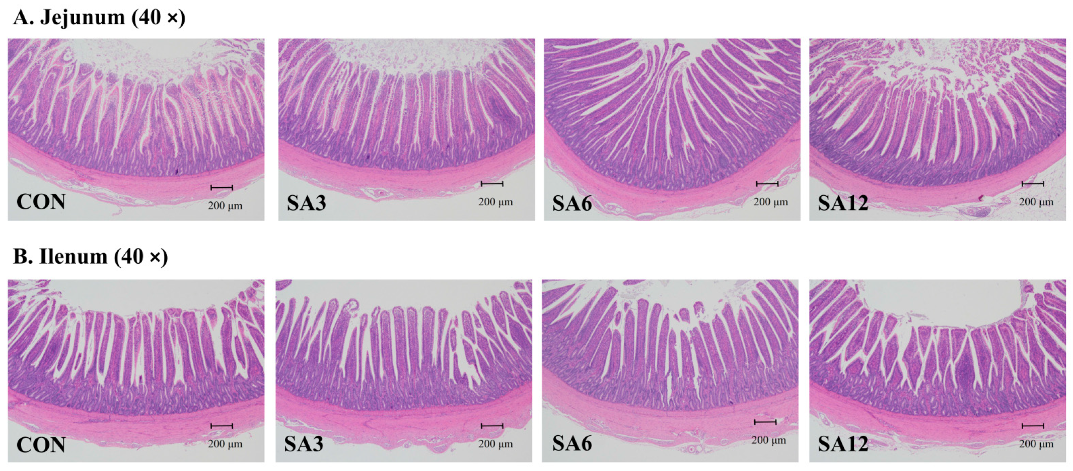 Antioxidants 14 00087 g001