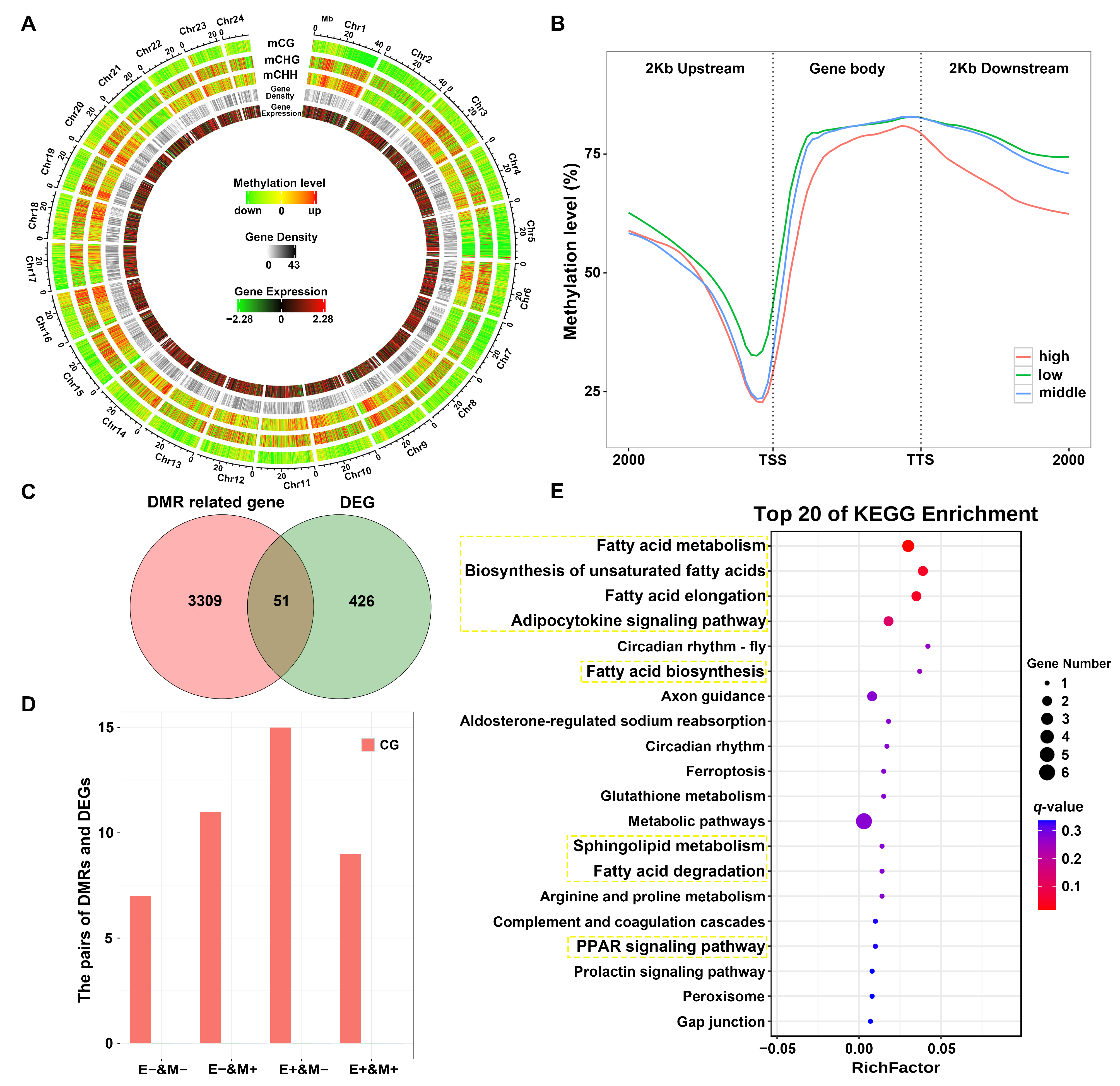 Antioxidants 14 00093 g004 Antioxidants 14 00093 g004
