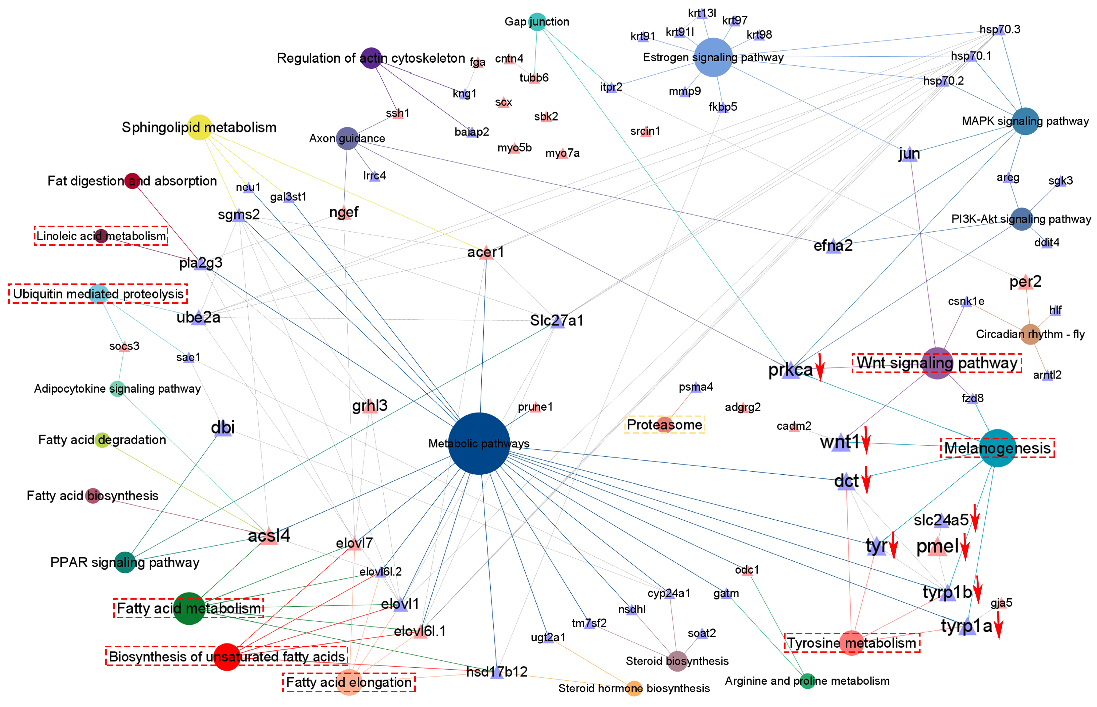 Antioxidants 14 00093 g006 Antioxidants 14 00093 g006