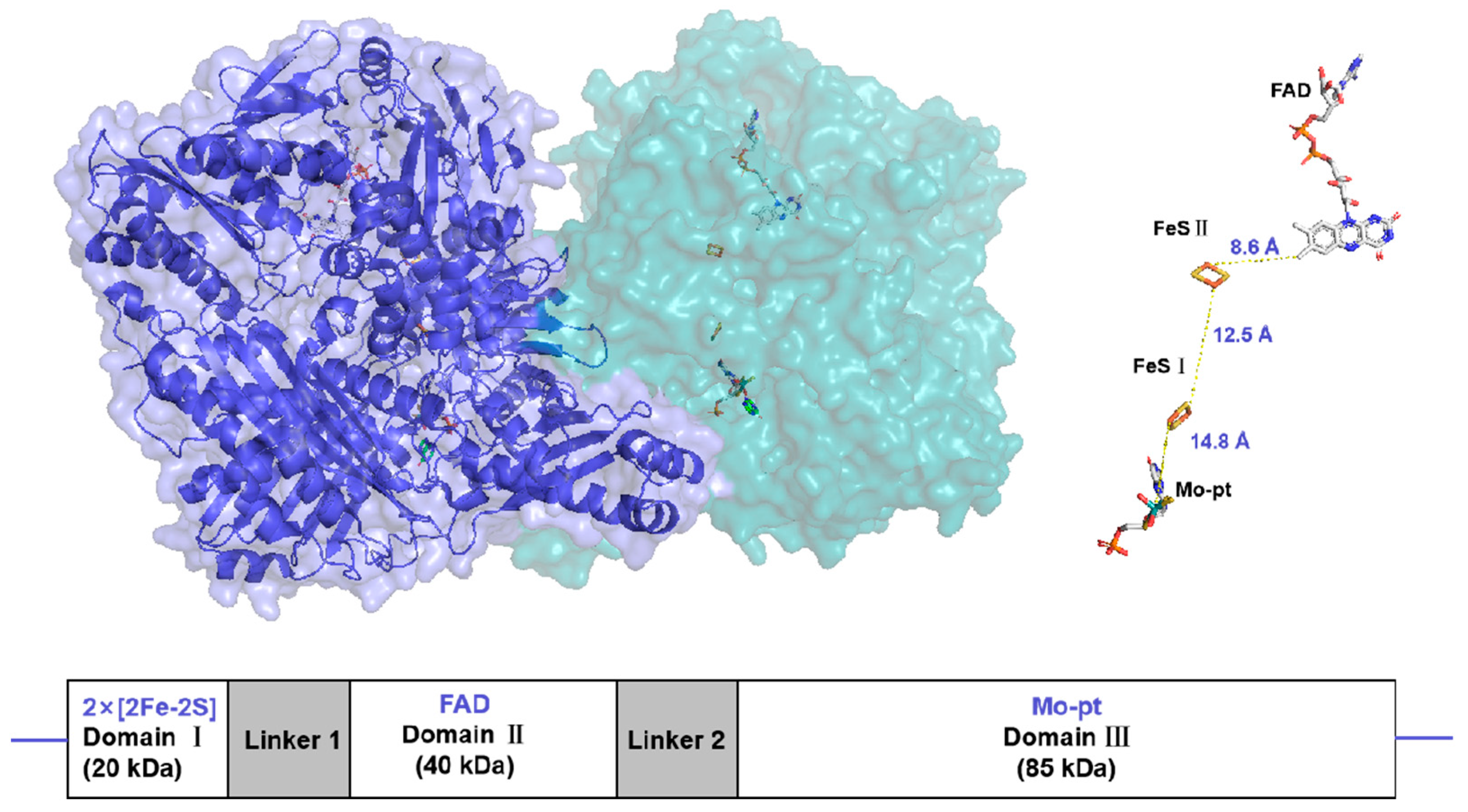 Antioxidants 14 00095 g001 Antioxidants 14 00095 g001