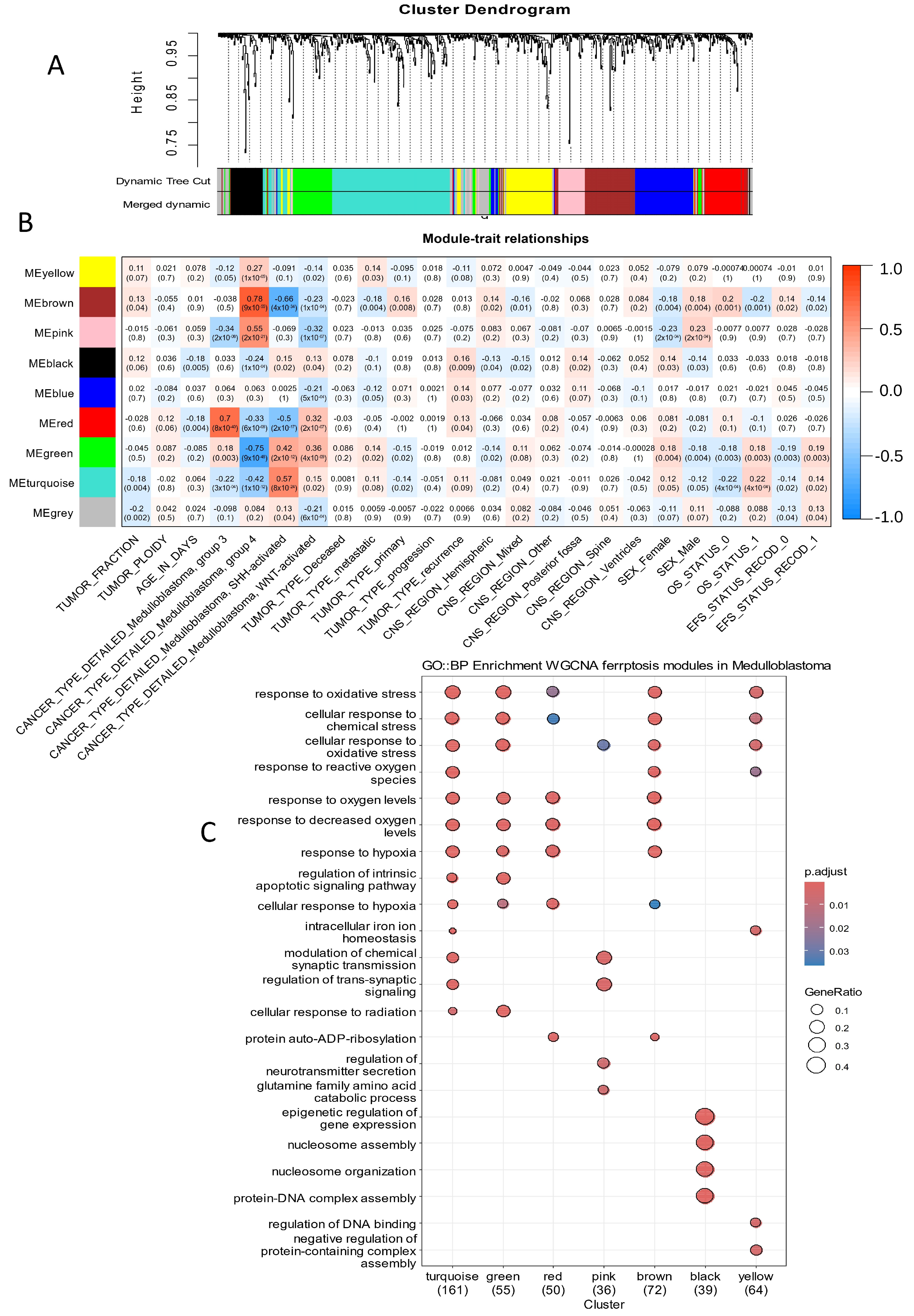 Antioxidants 14 00096 g002