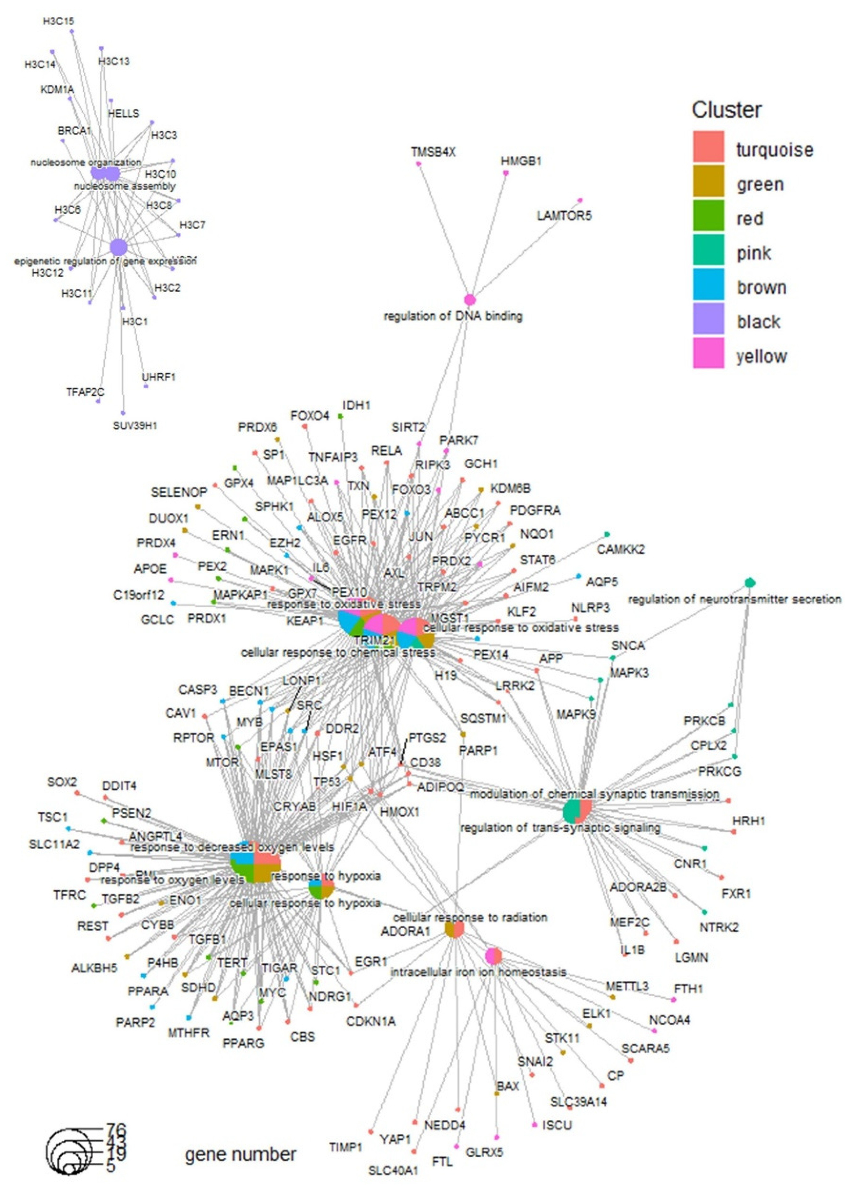 Antioxidants 14 00096 g003