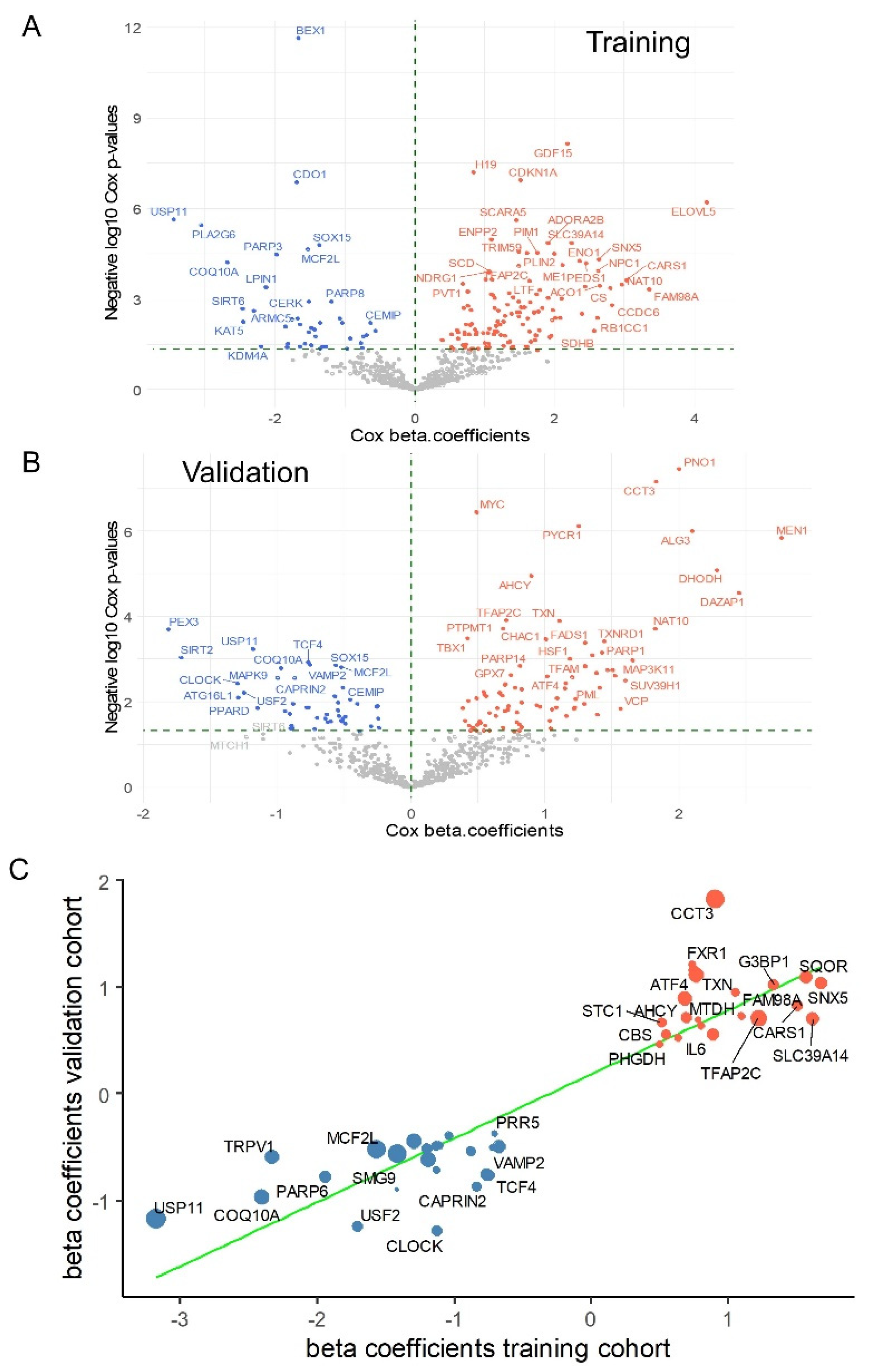 Antioxidants 14 00096 g005