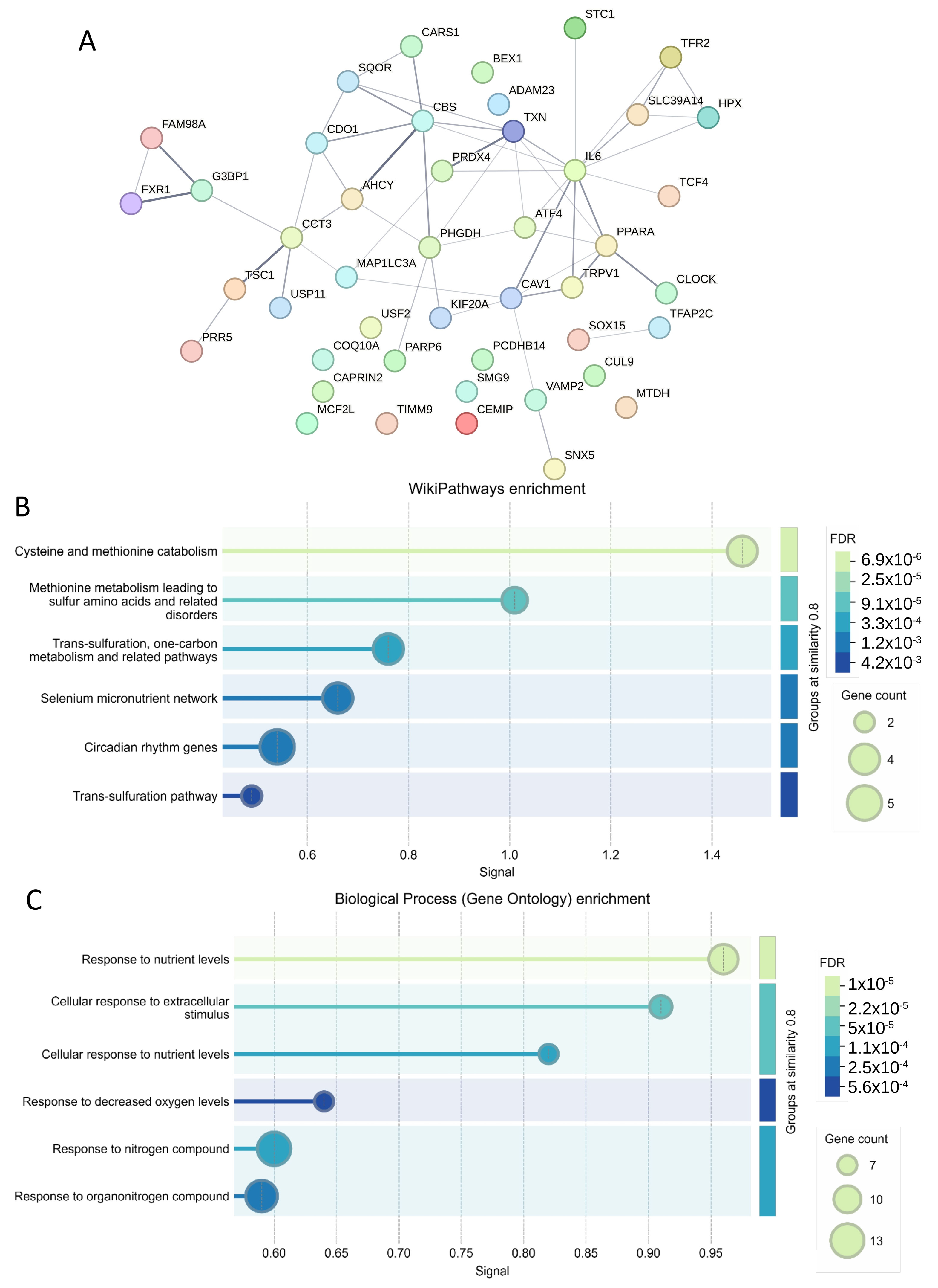 Antioxidants 14 00096 g006