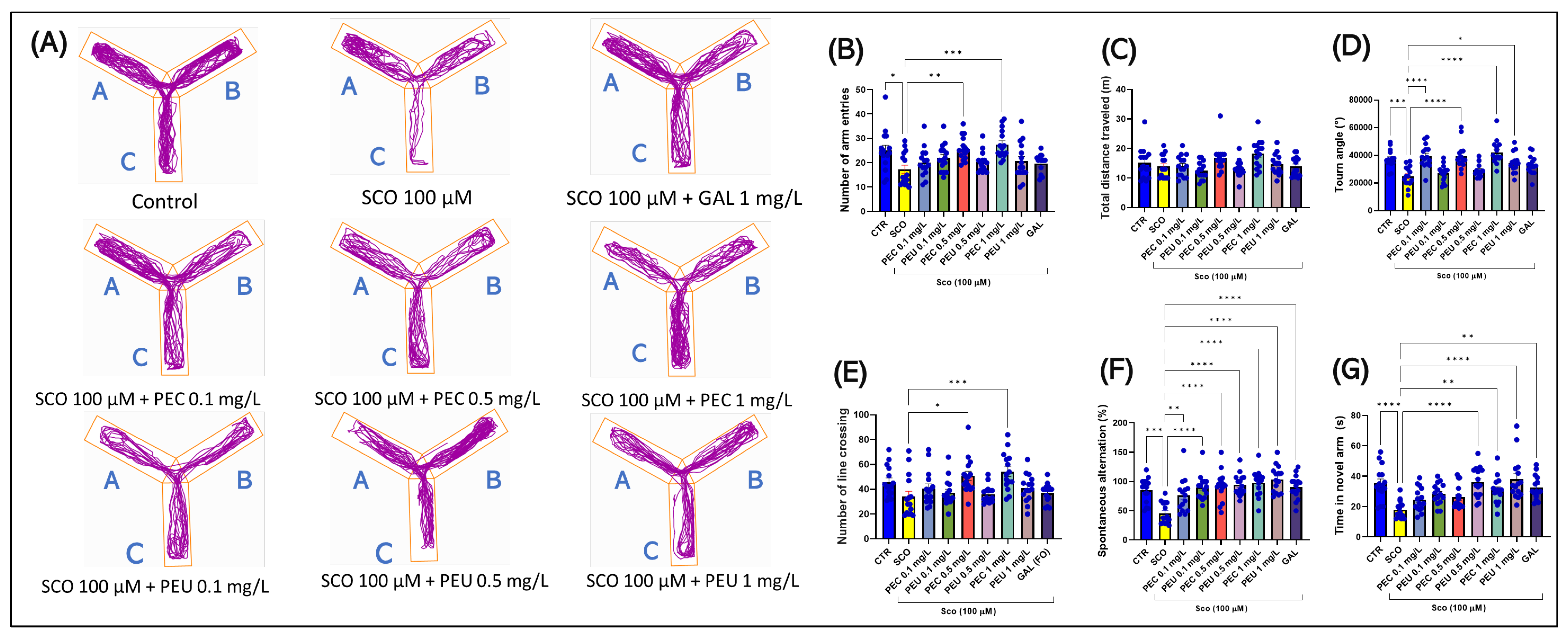 Antioxidants 14 00097 g013 Antioxidants 14 00097 g013