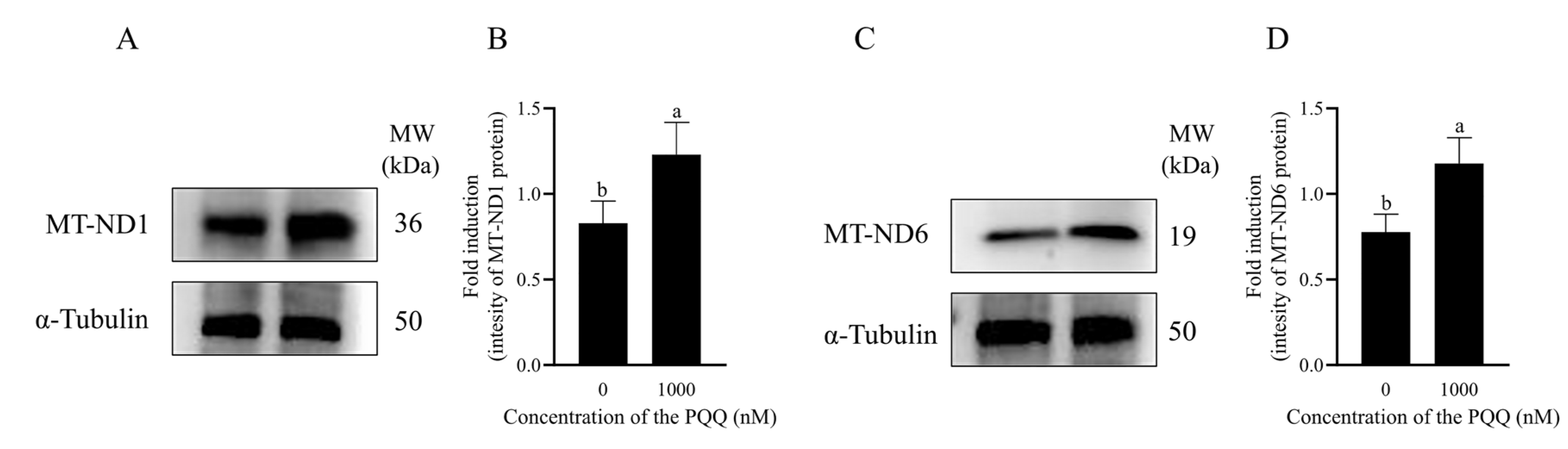 Antioxidants 14 00102 g005