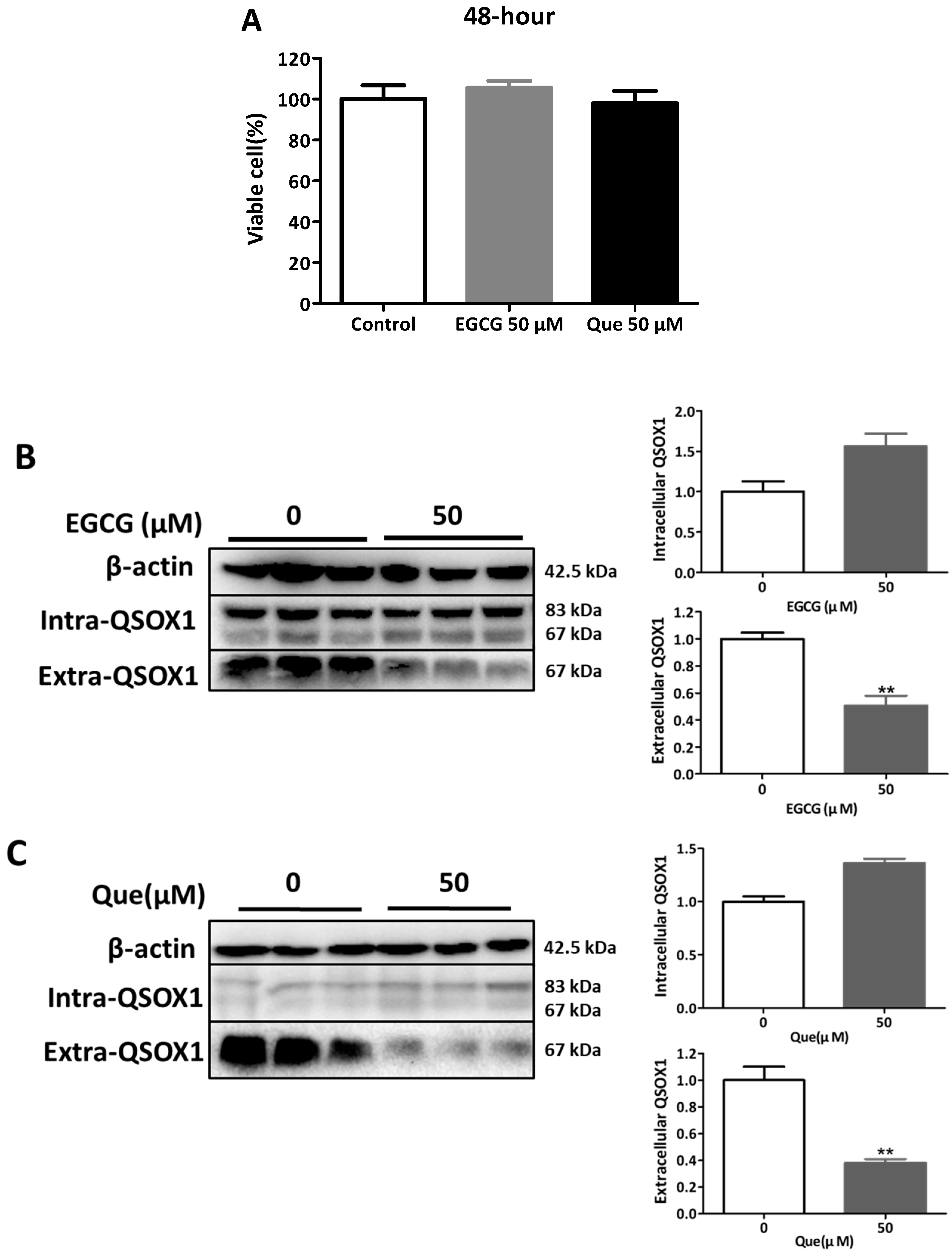 Antioxidants 14 00106 g003 Antioxidants 14 00106 g003