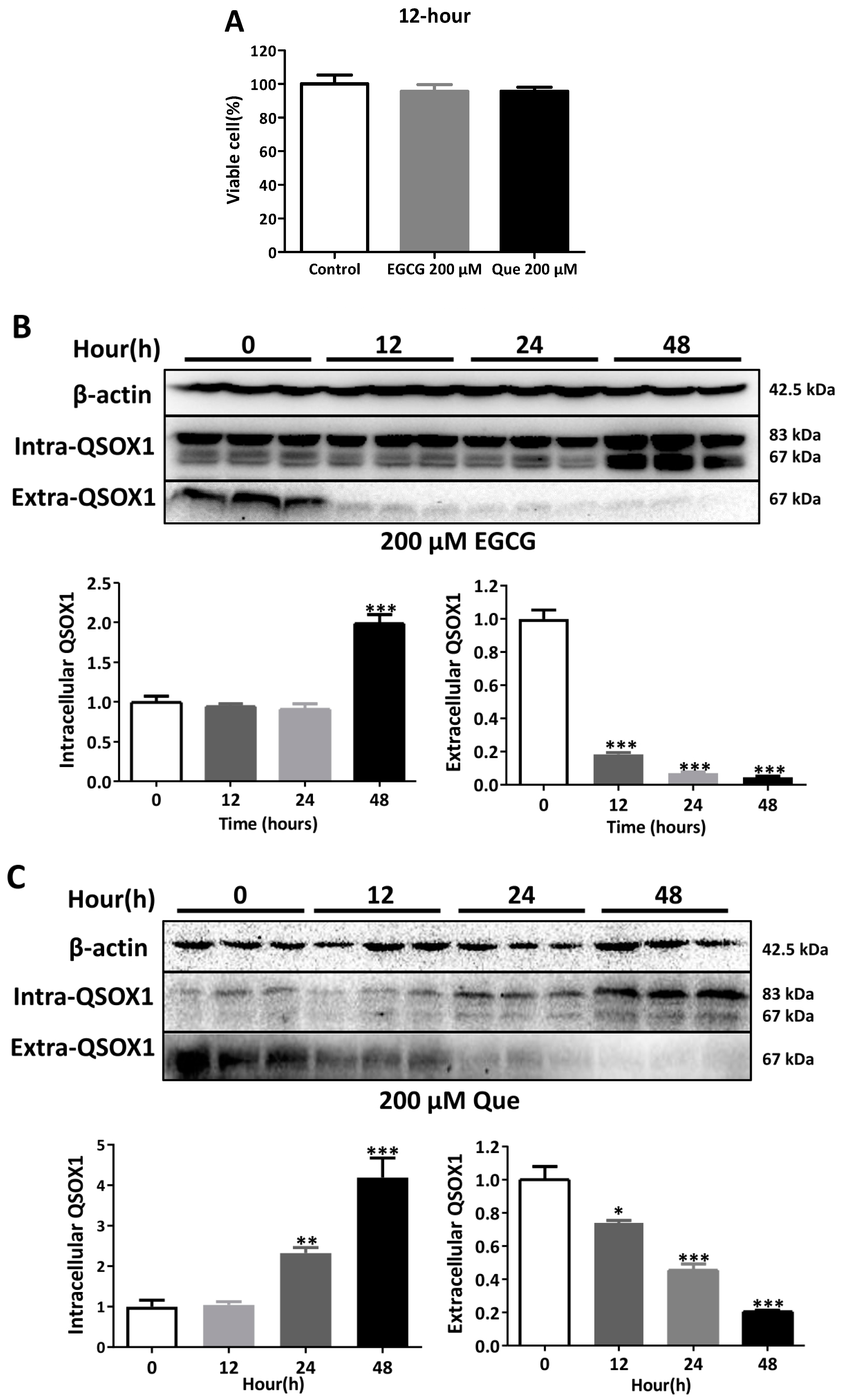 Antioxidants 14 00106 g006 Antioxidants 14 00106 g006