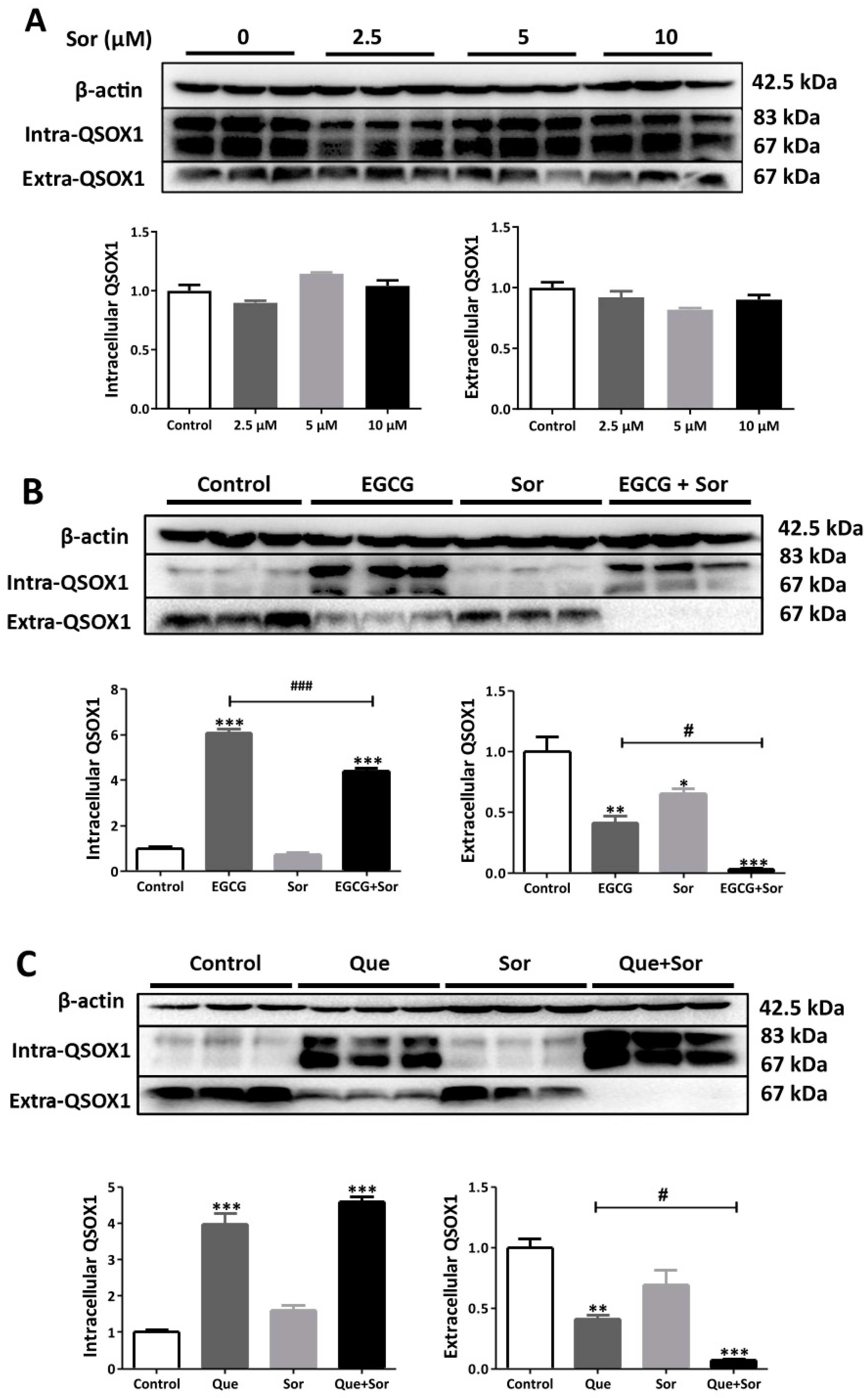 Antioxidants 14 00106 g008 Antioxidants 14 00106 g008