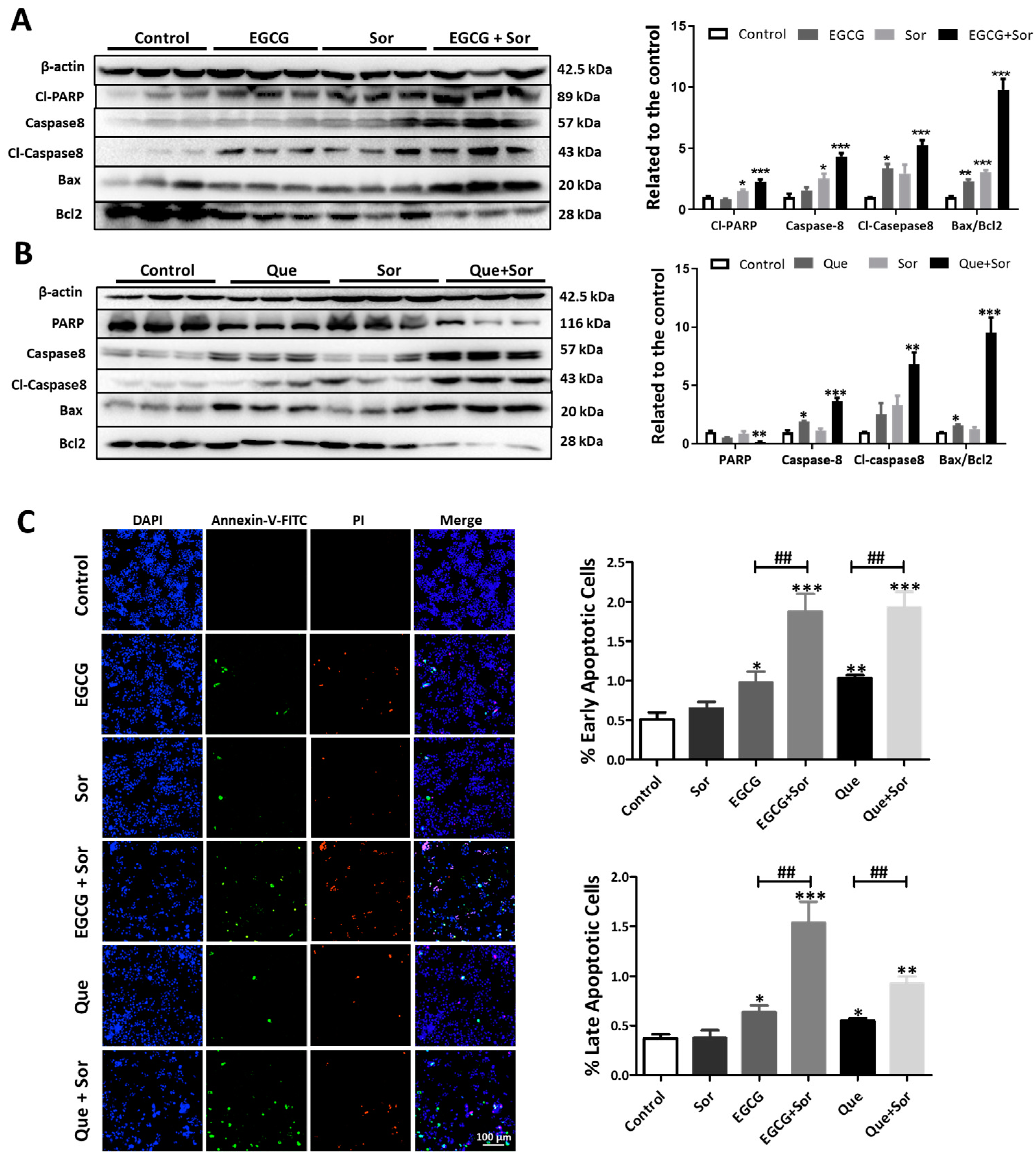Antioxidants 14 00106 g009 Antioxidants 14 00106 g009