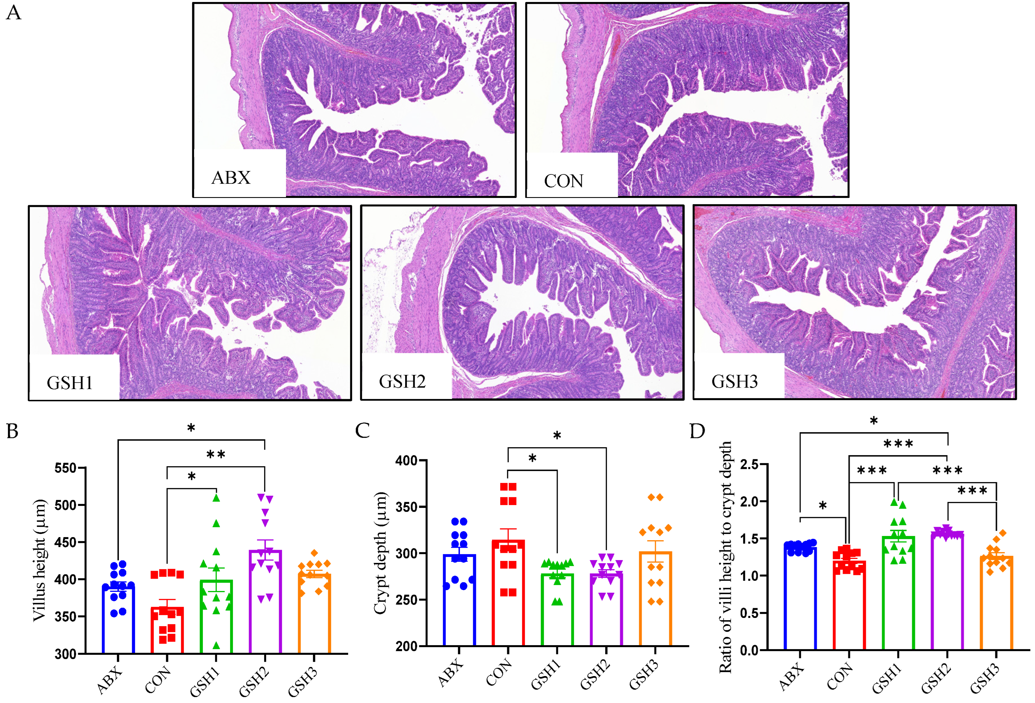 Antioxidants 14 00107 g001 Antioxidants 14 00107 g001