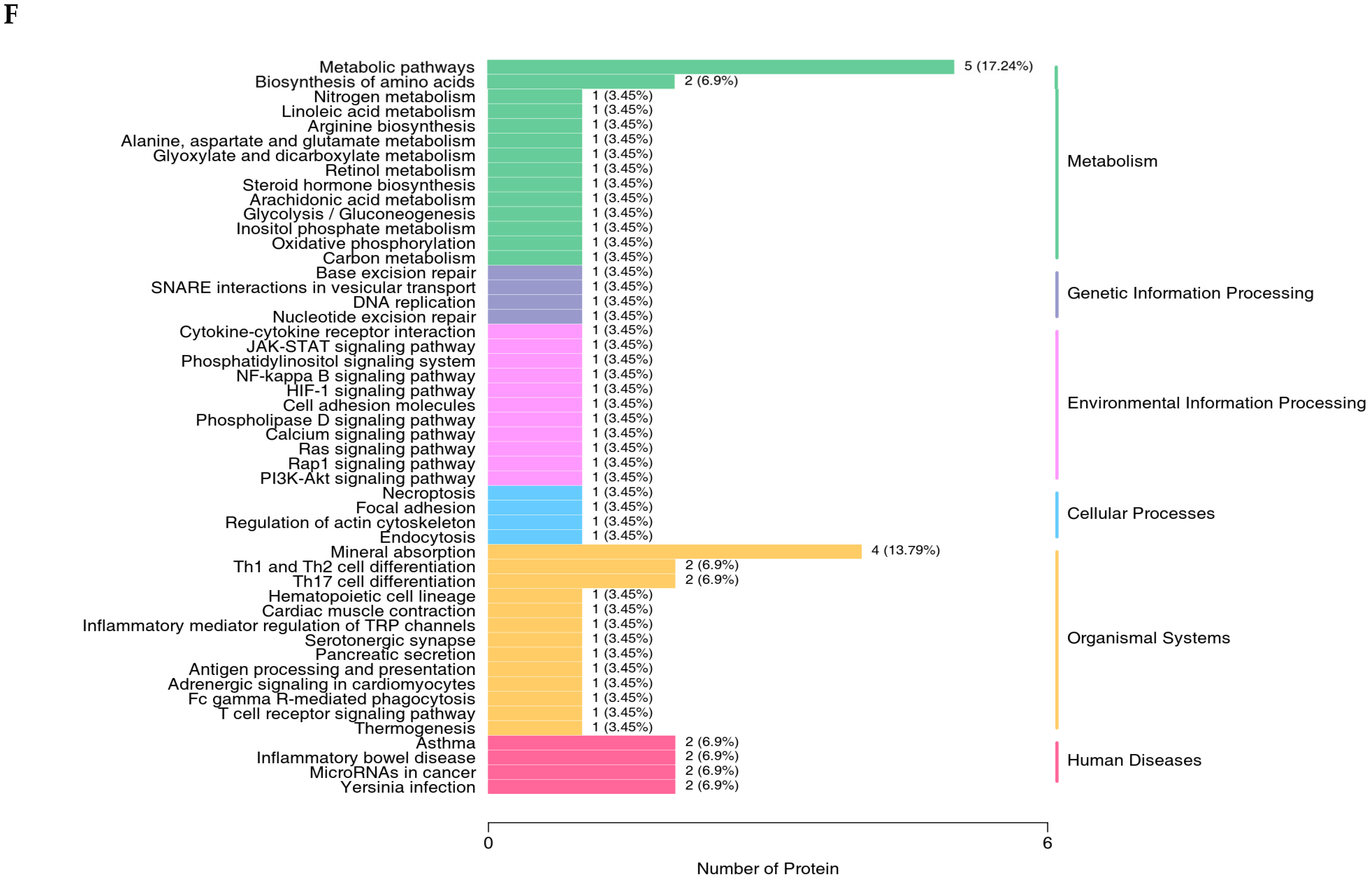 Antioxidants 14 00107 g004c Antioxidants 14 00107 g004c