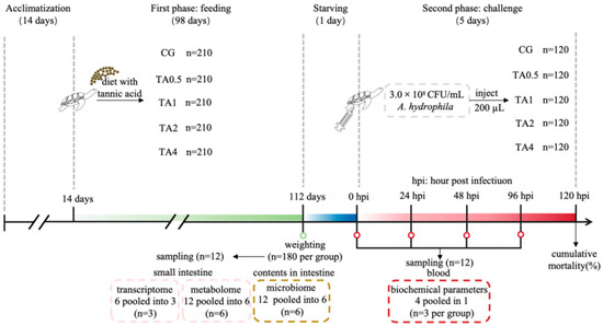Dietary Tannic Acid Promotes Growth Performance and