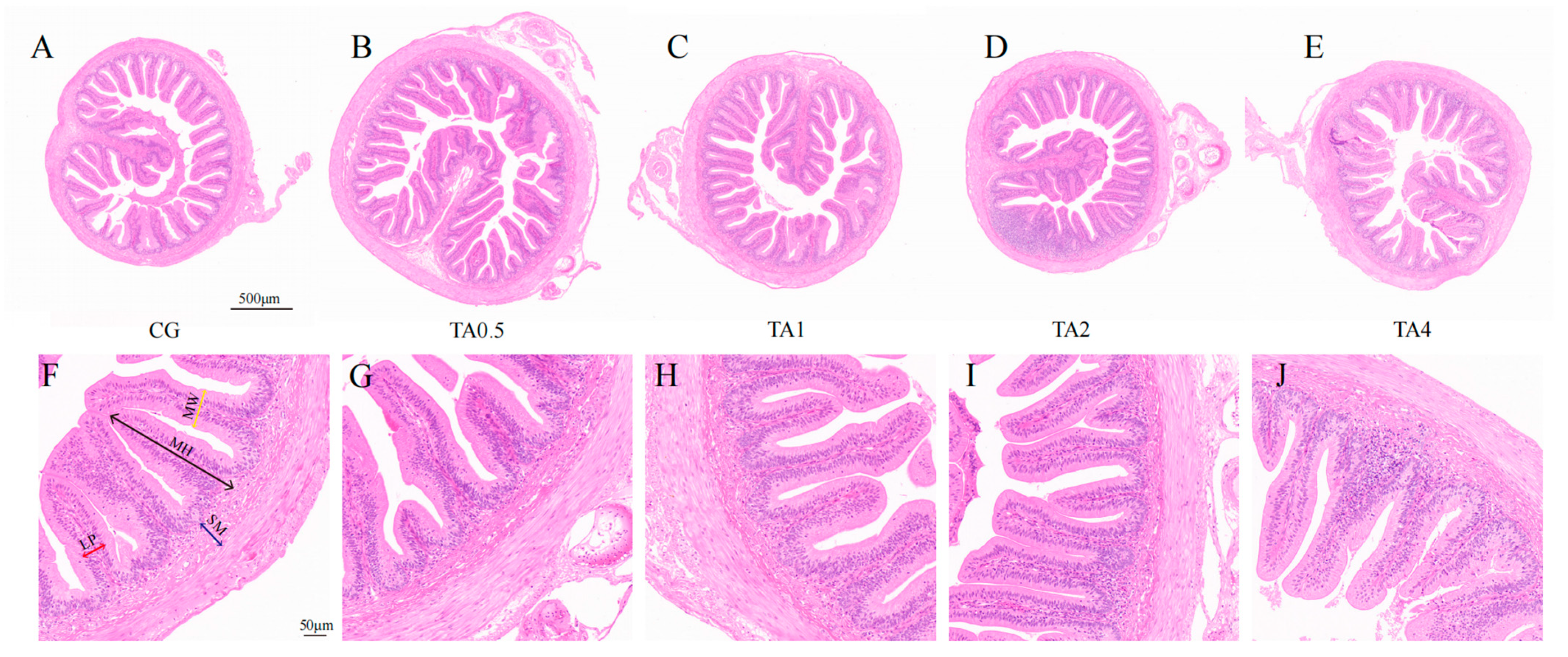 Antioxidants 14 00112 g004