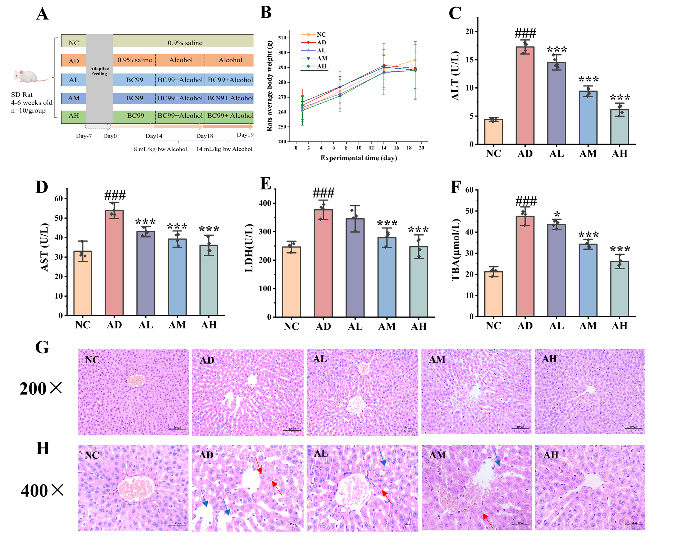 Antioxidants 14 00117 g001