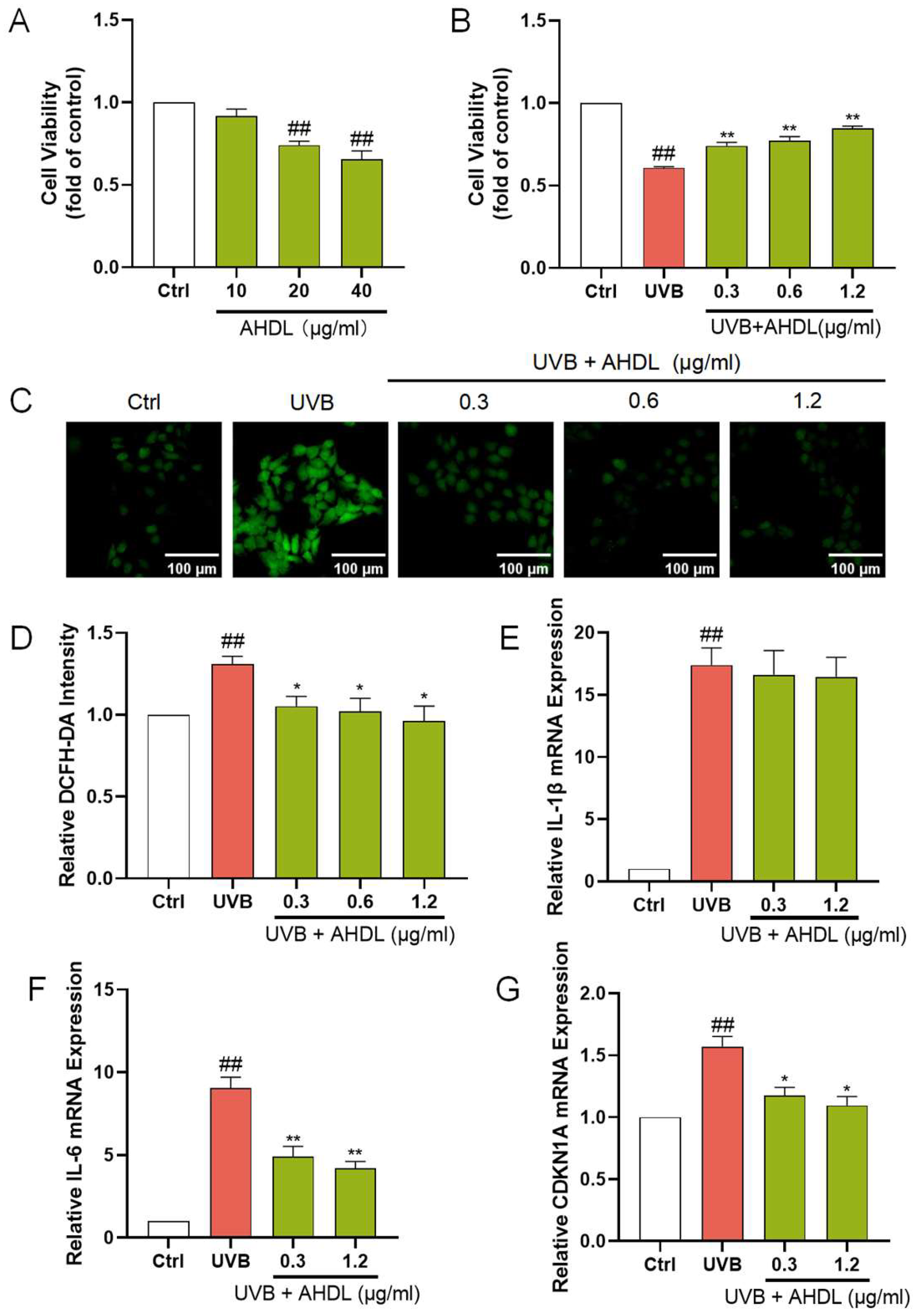 Antioxidants 14 00118 g004